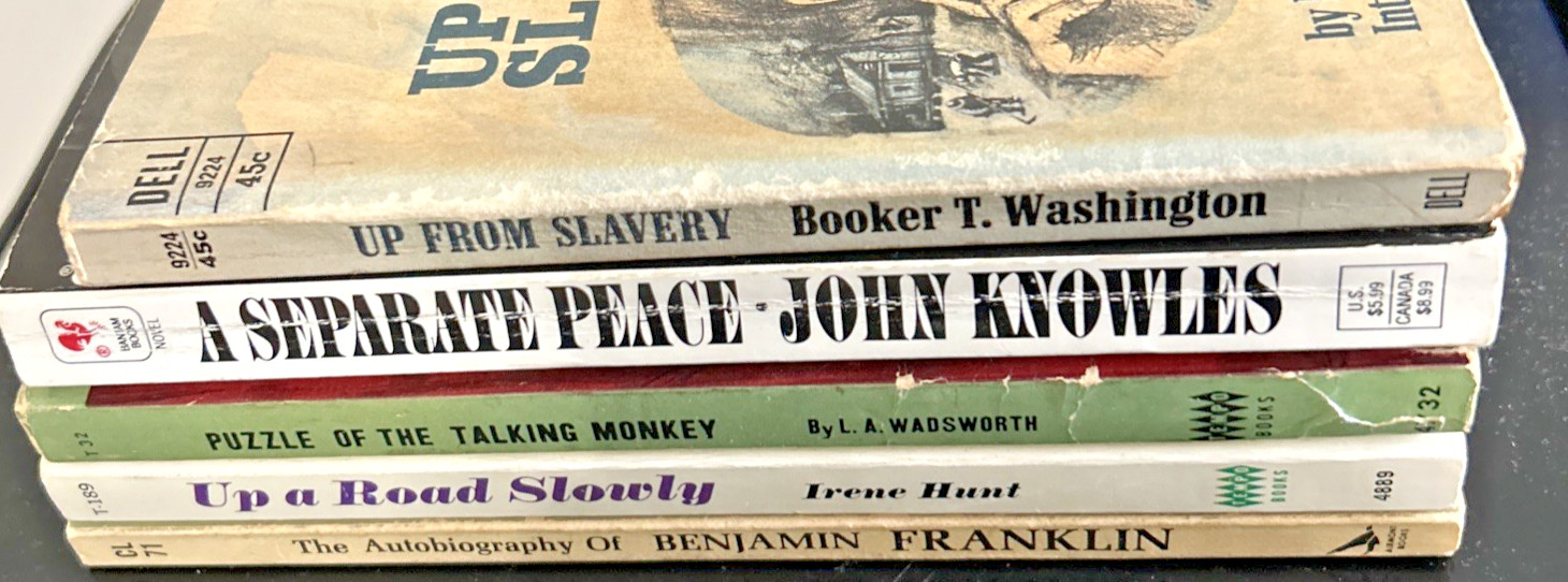 Lot of 5 Vintage Paperback Novels & Classics Knowles, Washington, Franklin +