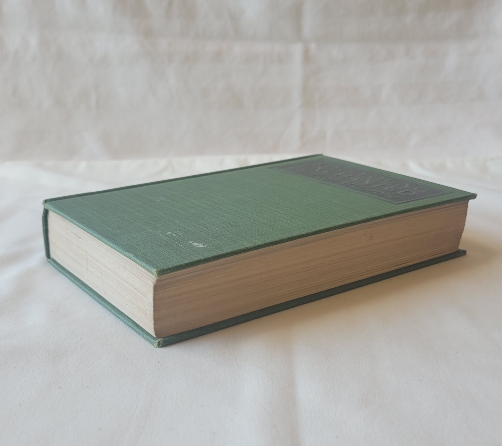 The Young Enchanted by Hugh Walpole 1921 Novel Romance