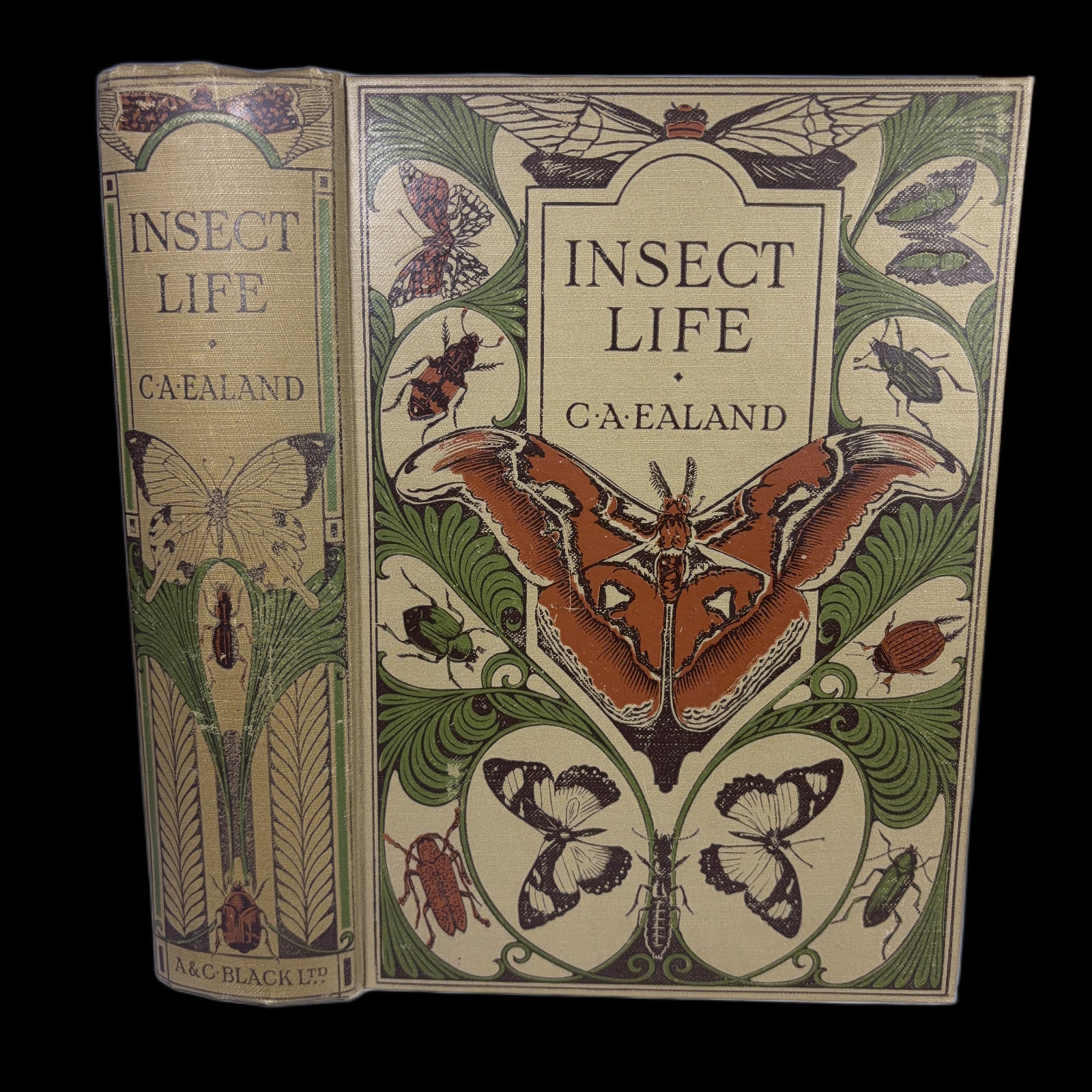 Insect Life ~ C. A. Ealand ~ 1921 1st Edition ~ Butterflies Art Nouveau