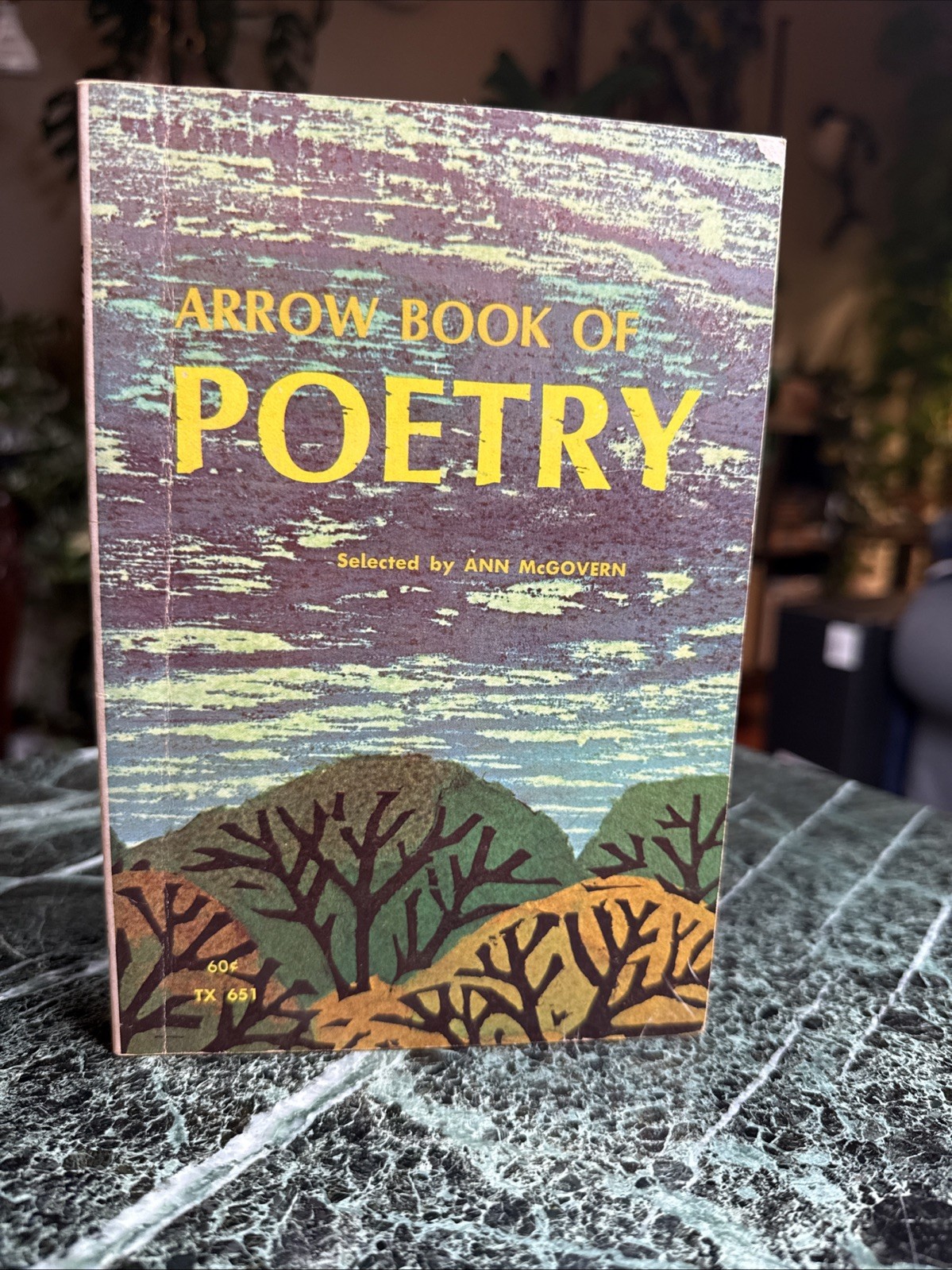 Arrow Book of Poetry Ann McGovern Vintage Illustrated Paperback Book 1975