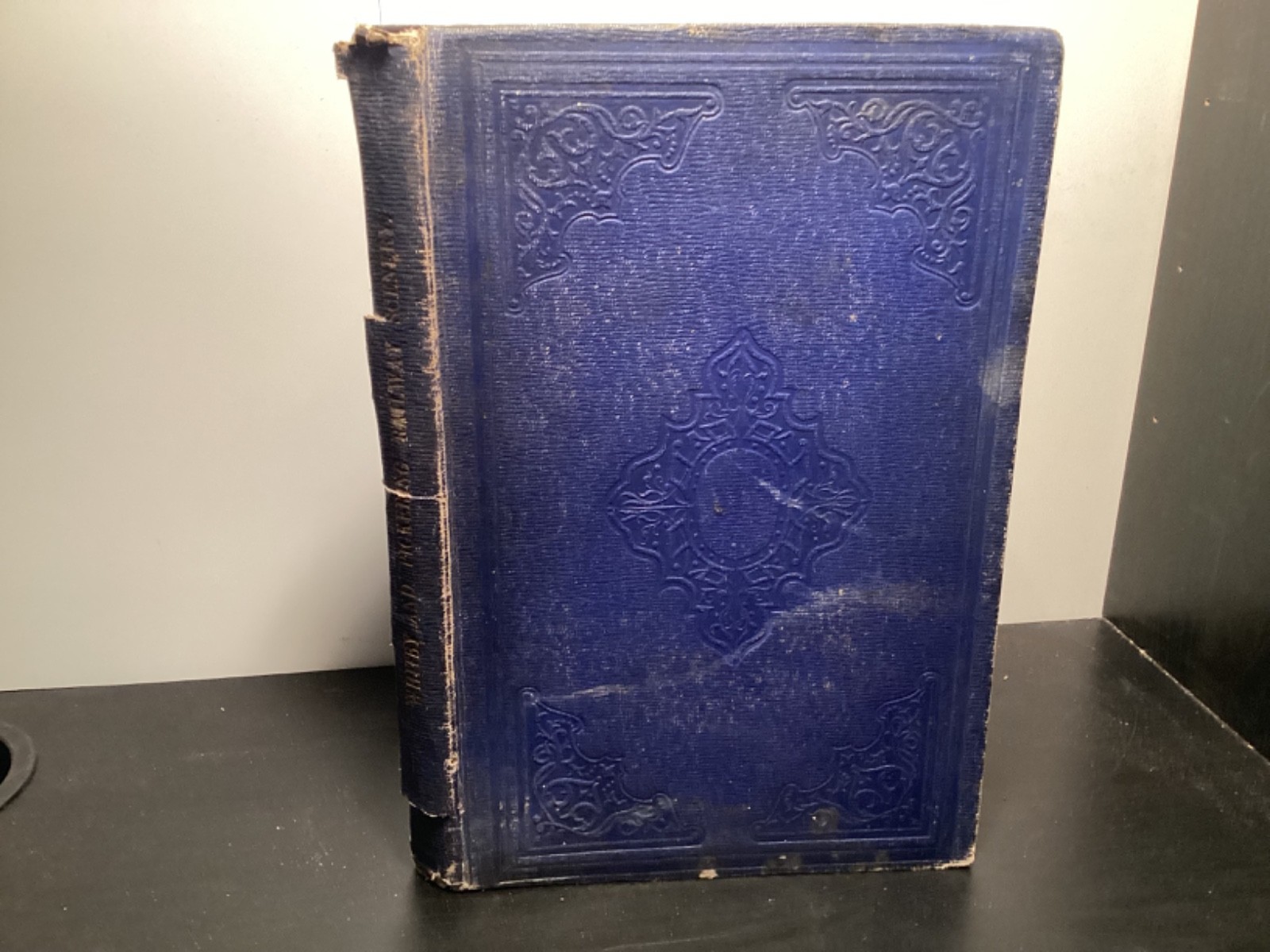 1836 Illustrations Of Scenery On The Line Of The Whitney And Pickering Railroad