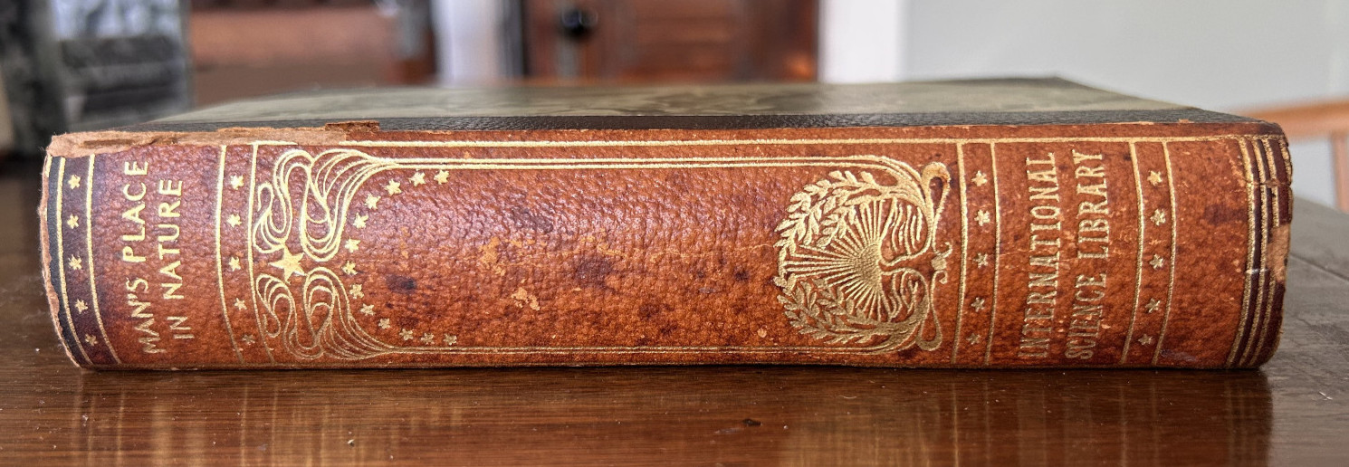 1904 MAN’S PLACE IN NATURE Thomas Huxley Evolution Science Antique Green Marbled