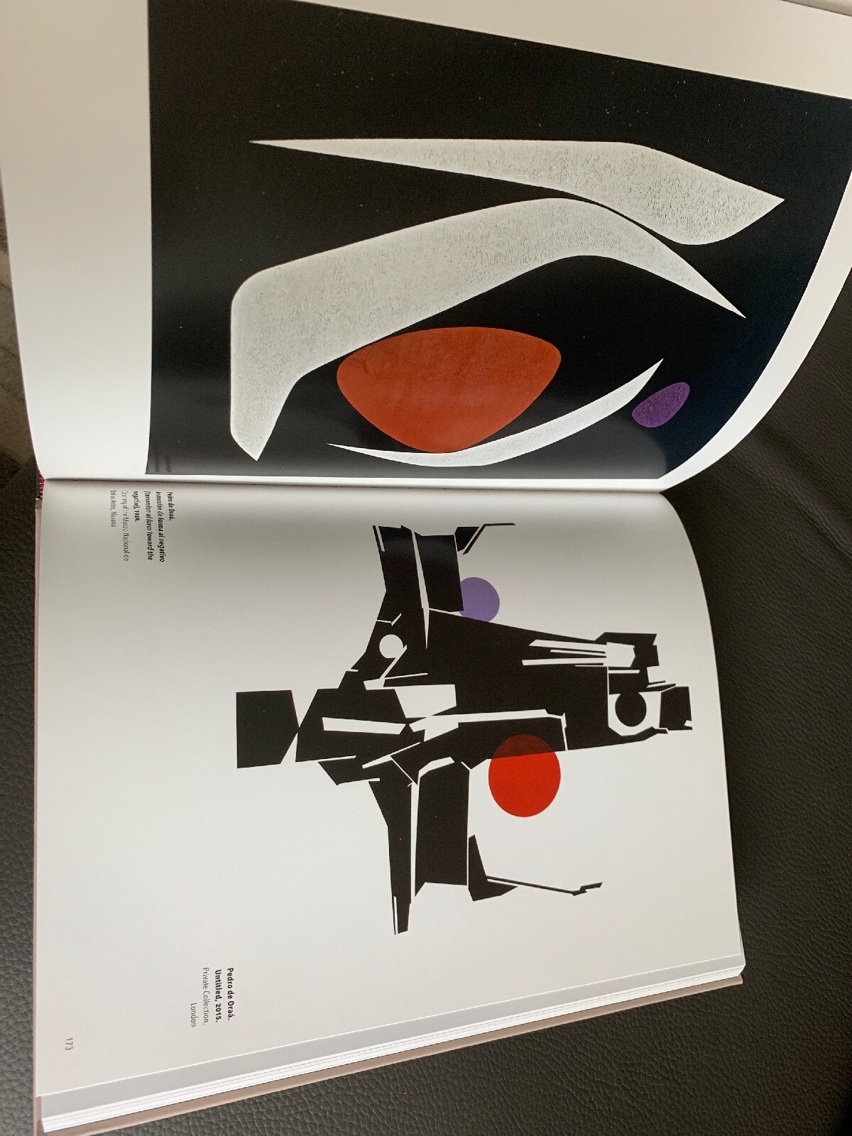 Art Book. More than 10 Concrete Painters. Pintores Concretos Book. English