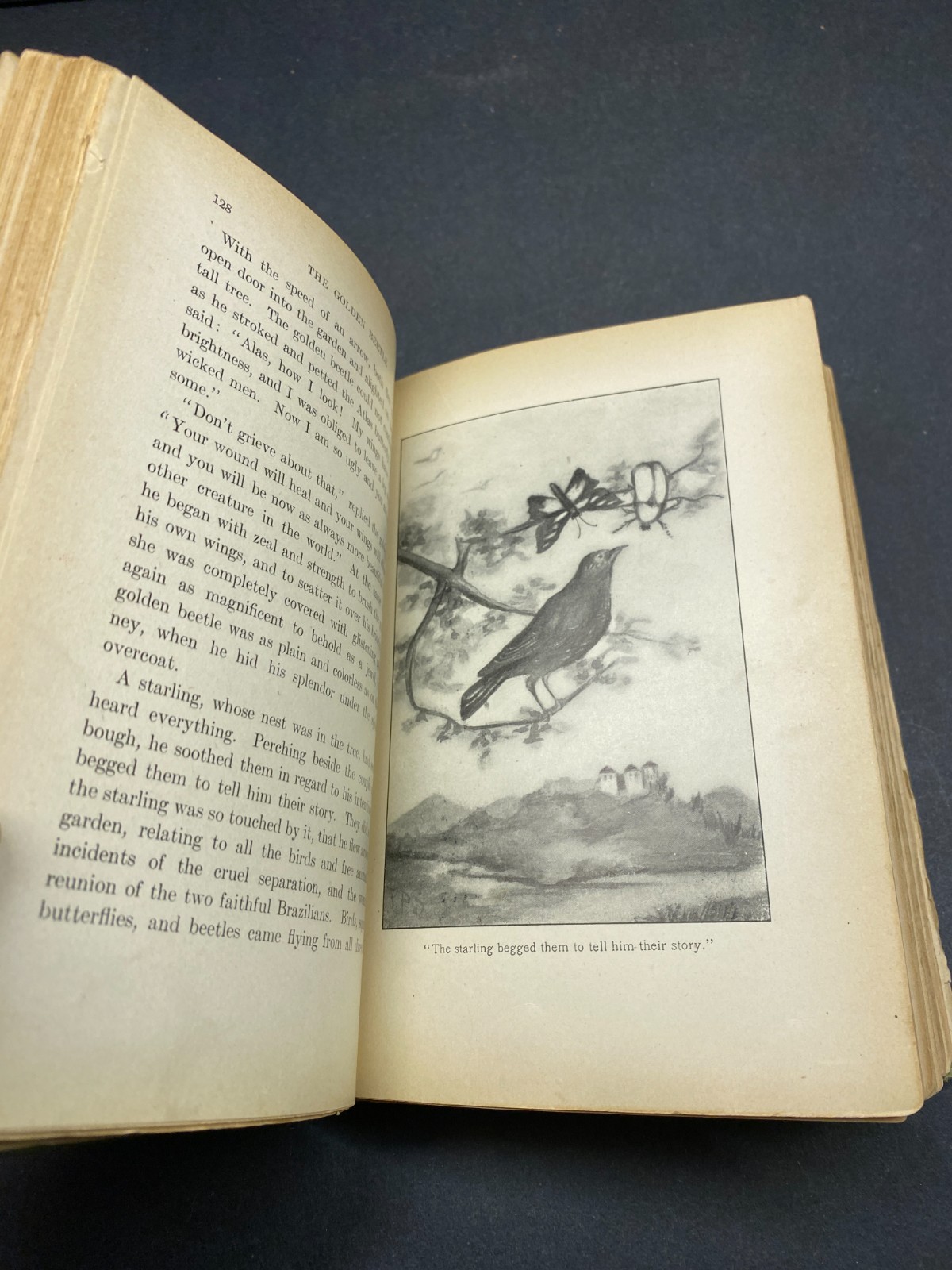 1905 – The Dwarf’s Spectacles and Other Fairy Tales – Nordau – Rare – Hardcover