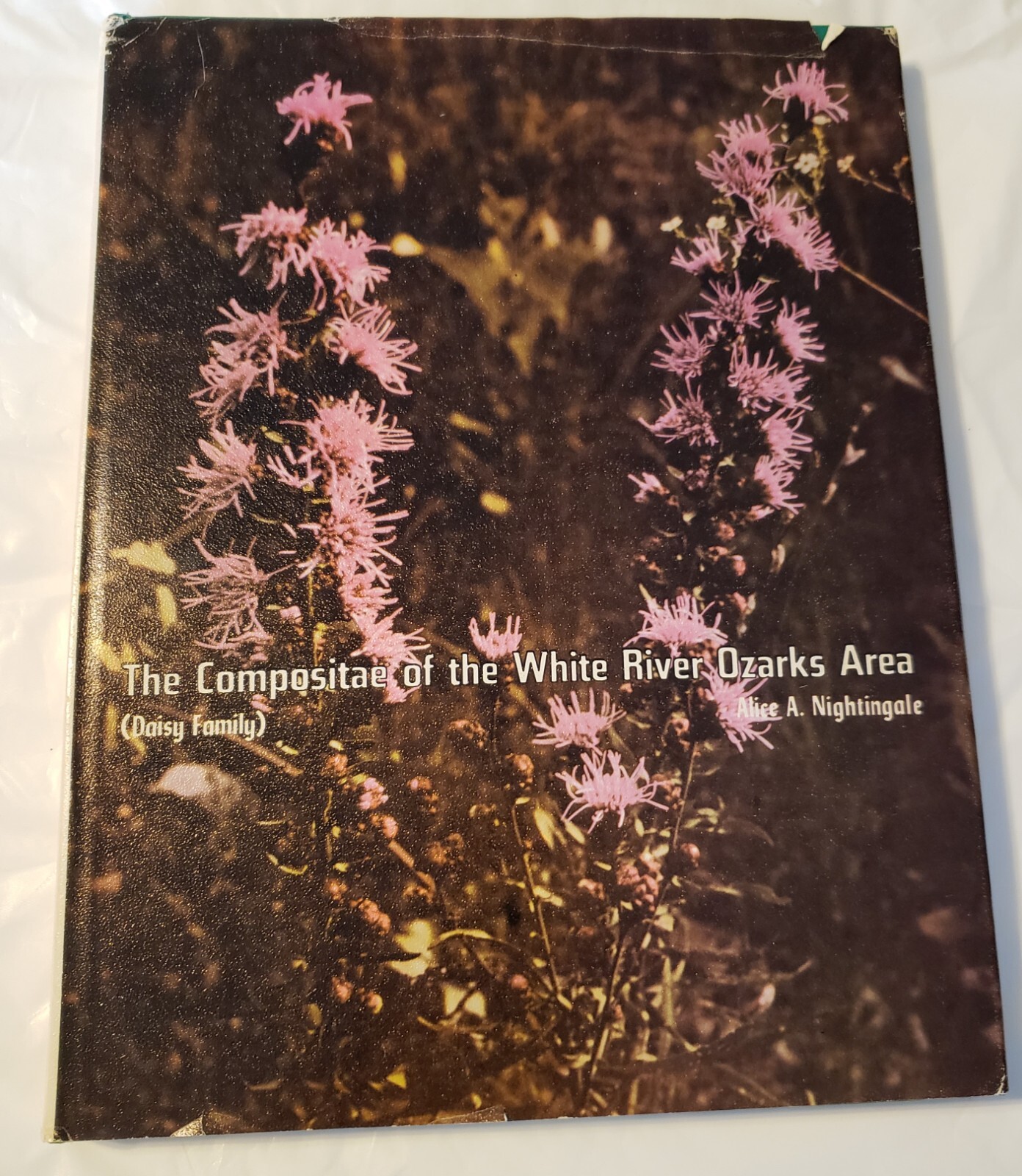 Compositae of the White River Ozarks Area Daisy Family Alice Nightingale 1974