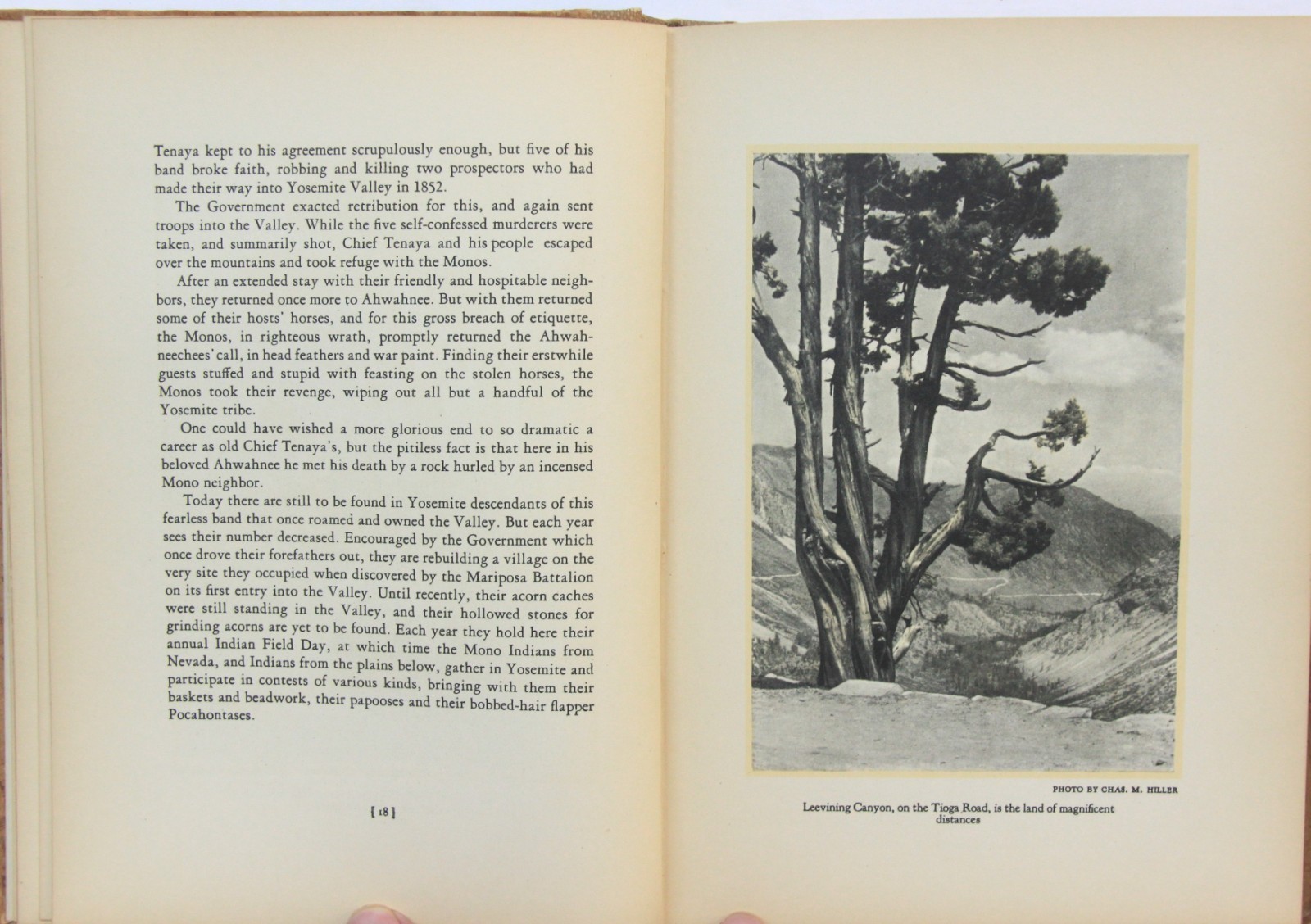 Lights & Shadows of Yosemite – Yosemite Views by Katherine Taylor 1926 – Photos