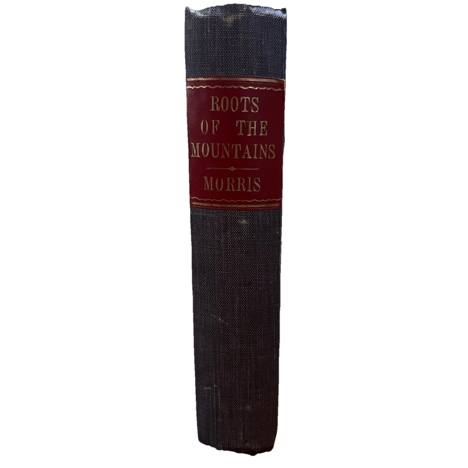 The roots of the mountain – William Morris – 1893 – Rare Nice Condition.