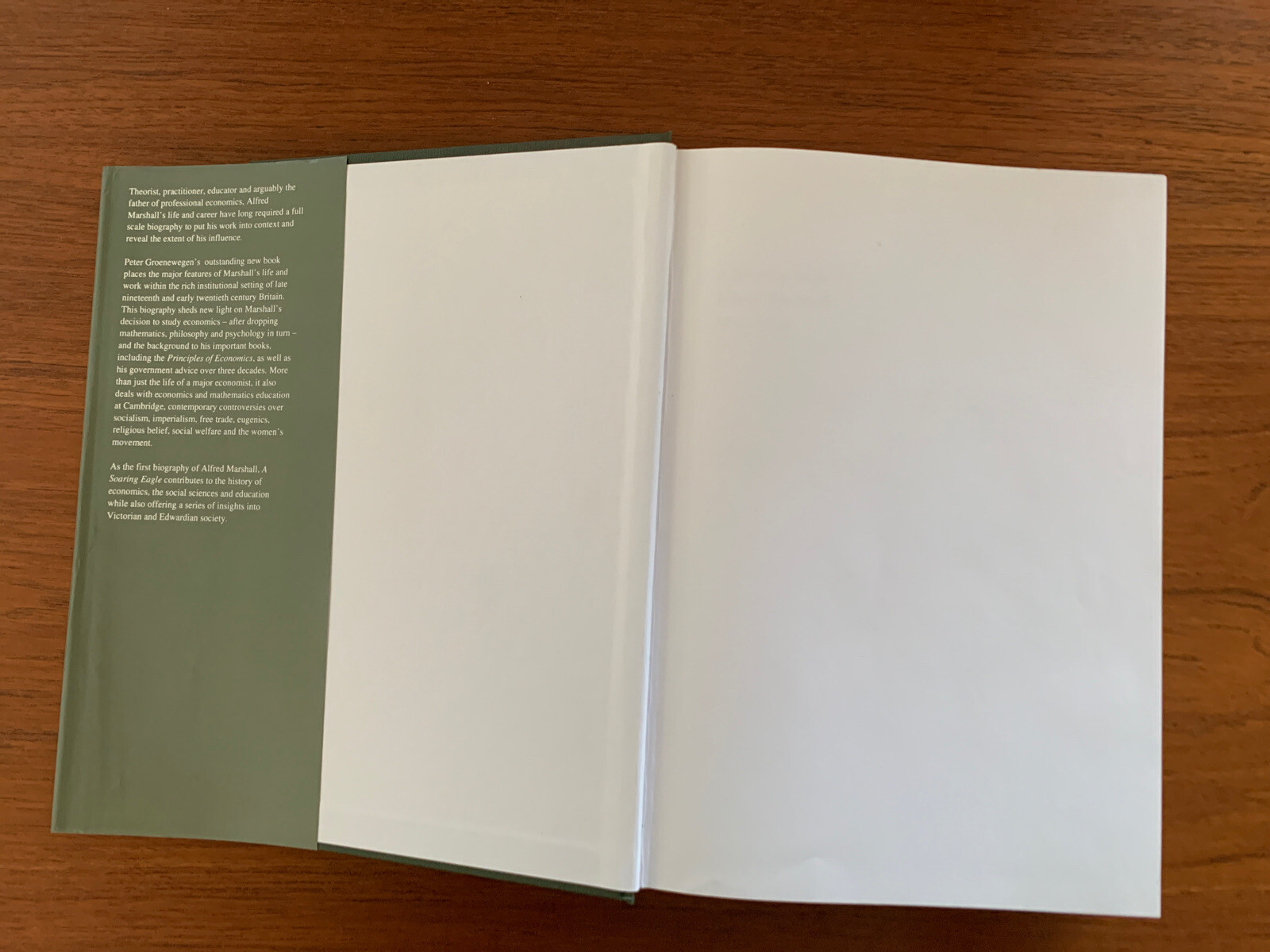 A SOARING EAGLE: Alfred Marshall 1842-1924 by Peter Groenewegen Hardback 1995 DW