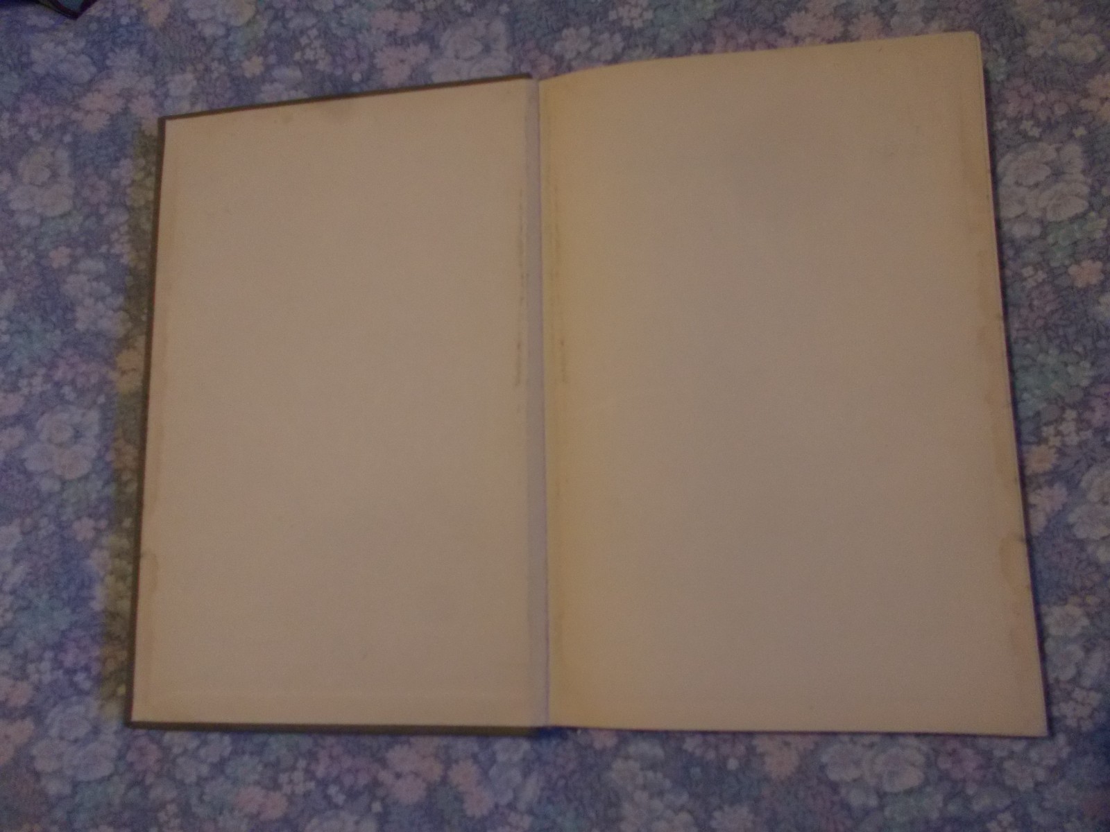 Paulo Volponi THE MEMORANDUM novel 1967 1st Italian interest forgotten authors
