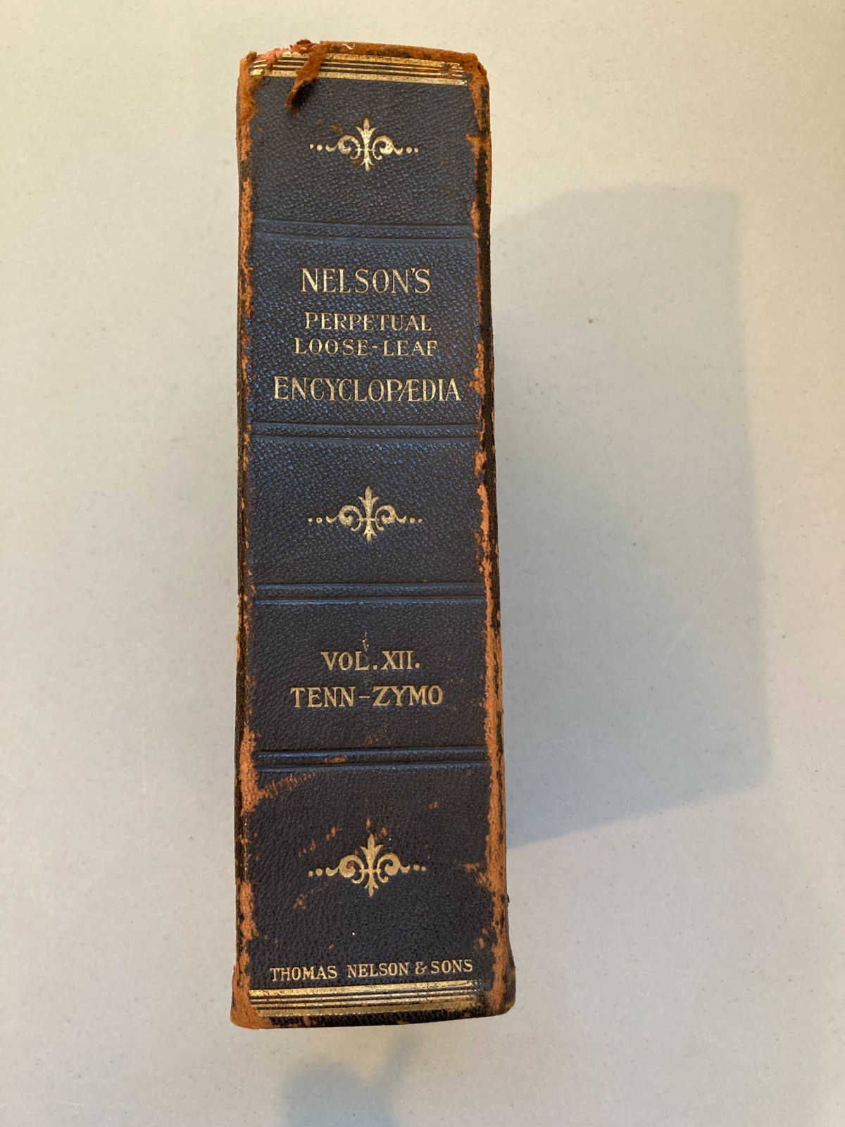Nelson’s Loose-Leaf Encyclopedia 12 Vol Set Antique 1905–1918 Illustrated