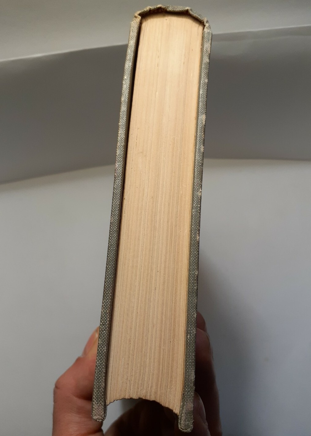 Negroes In American Society – Maurice R. Davie – McGraw Hill 1949 [HARDCOVER]