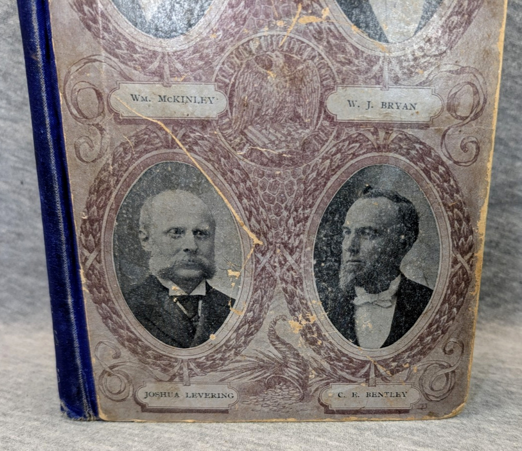 1896 The Great Campaign Political Srtuggles Voter Guide Presidential Election