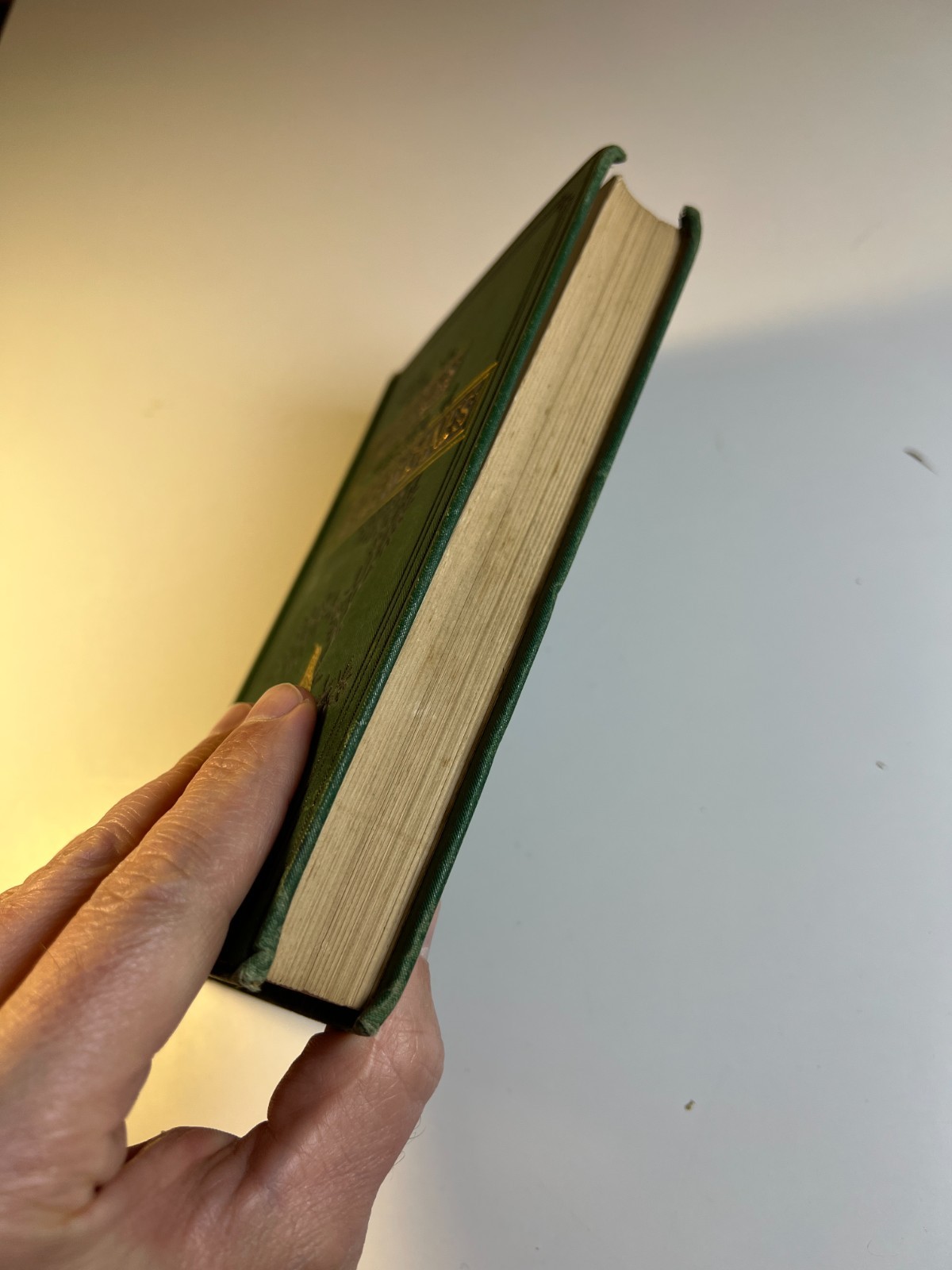 Antique 1884 “Half-Hours In The Green Lanes” Victorian Nature Book Ornate Gilded