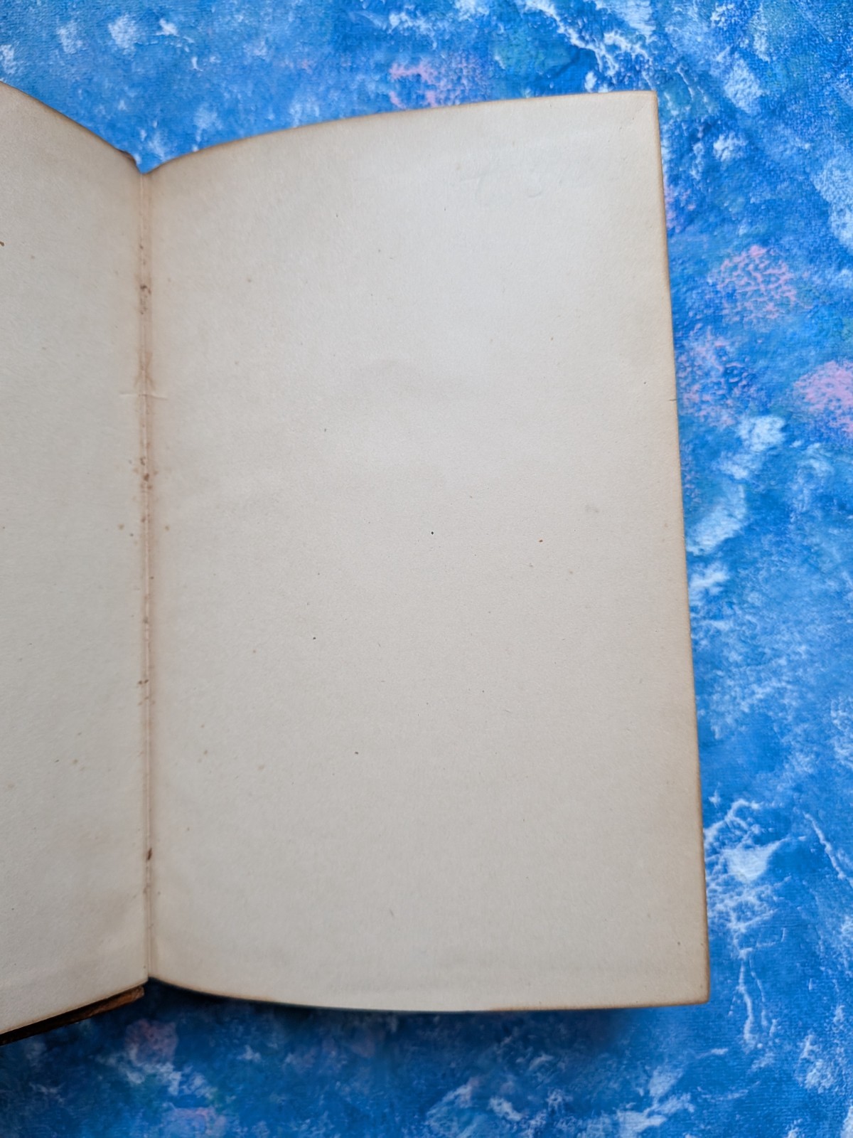 The Monastery by Sir Walter Scott – John W. Lovell Company, Early 1900s Approx