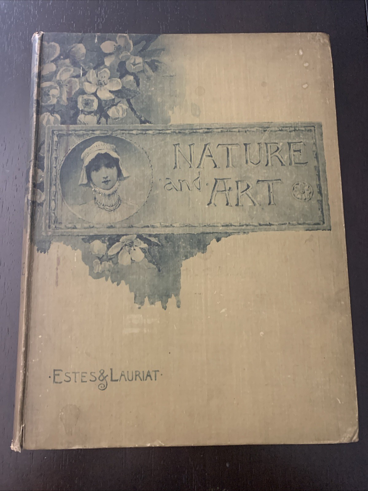 Nature and Art Poems and Pictures by Louise Reid Estes 1887