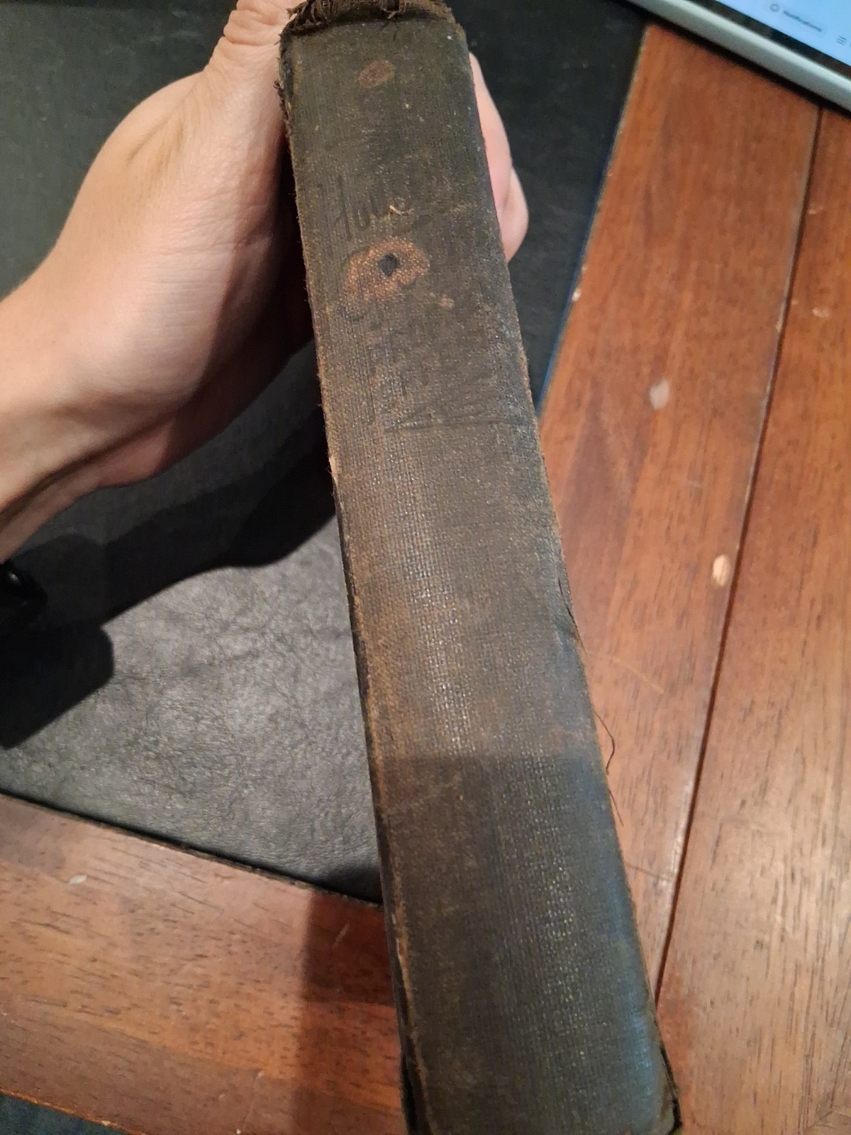 RARE Home Remedies for Man and Beast Jefferis & Davis 1893 Household Guide