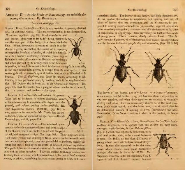 The Horticultural Register and General Magazine (1831-1836) – 5 Volumes on DVD