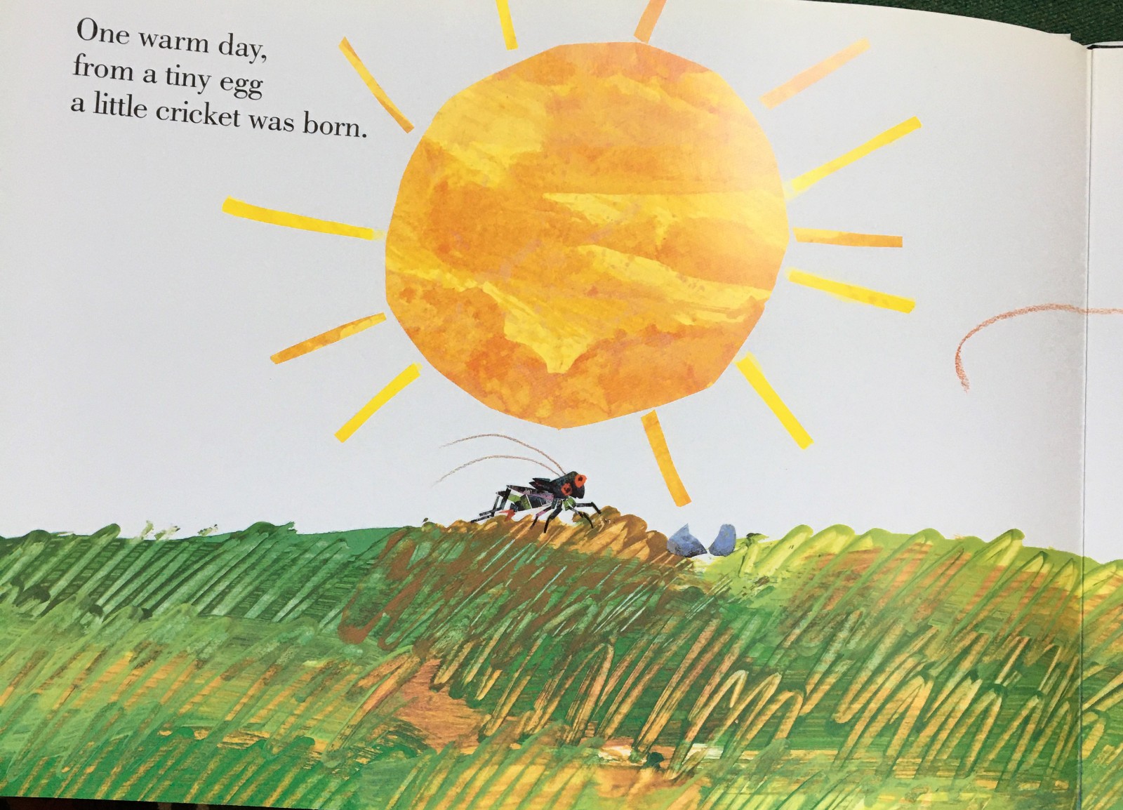 Eric Carle Signed (Inscribed with a Drawing) The Very Quiet Cricket