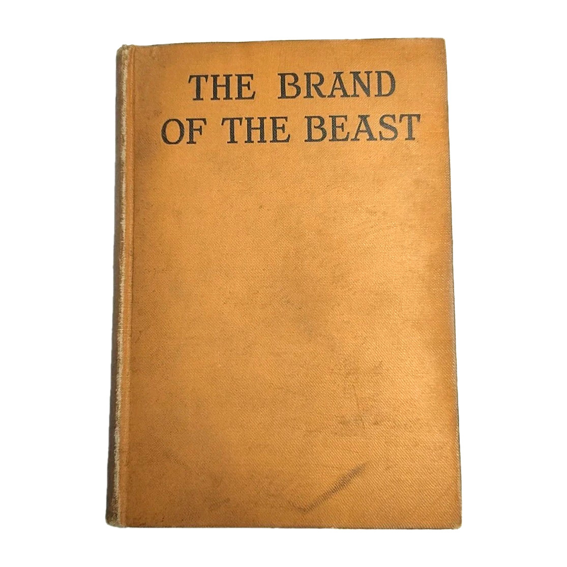 The Brand of the BEAST by Michael Lewis, 1925 Hardcover, Dial Press, VTG MYSTERY