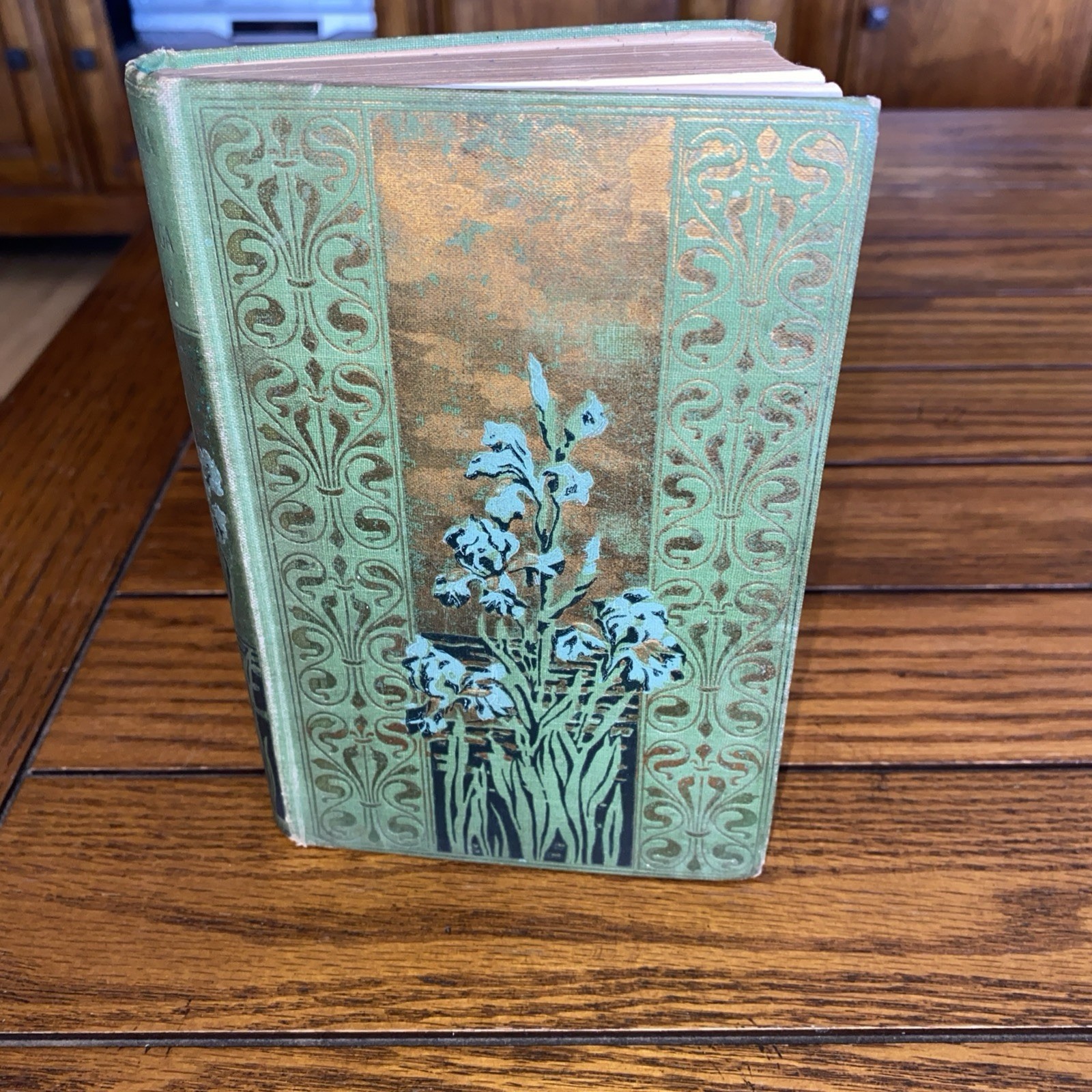 1887 Samantha At Saratoga; or Flirtin With Fashion – Mariella Holley – 1st Illus