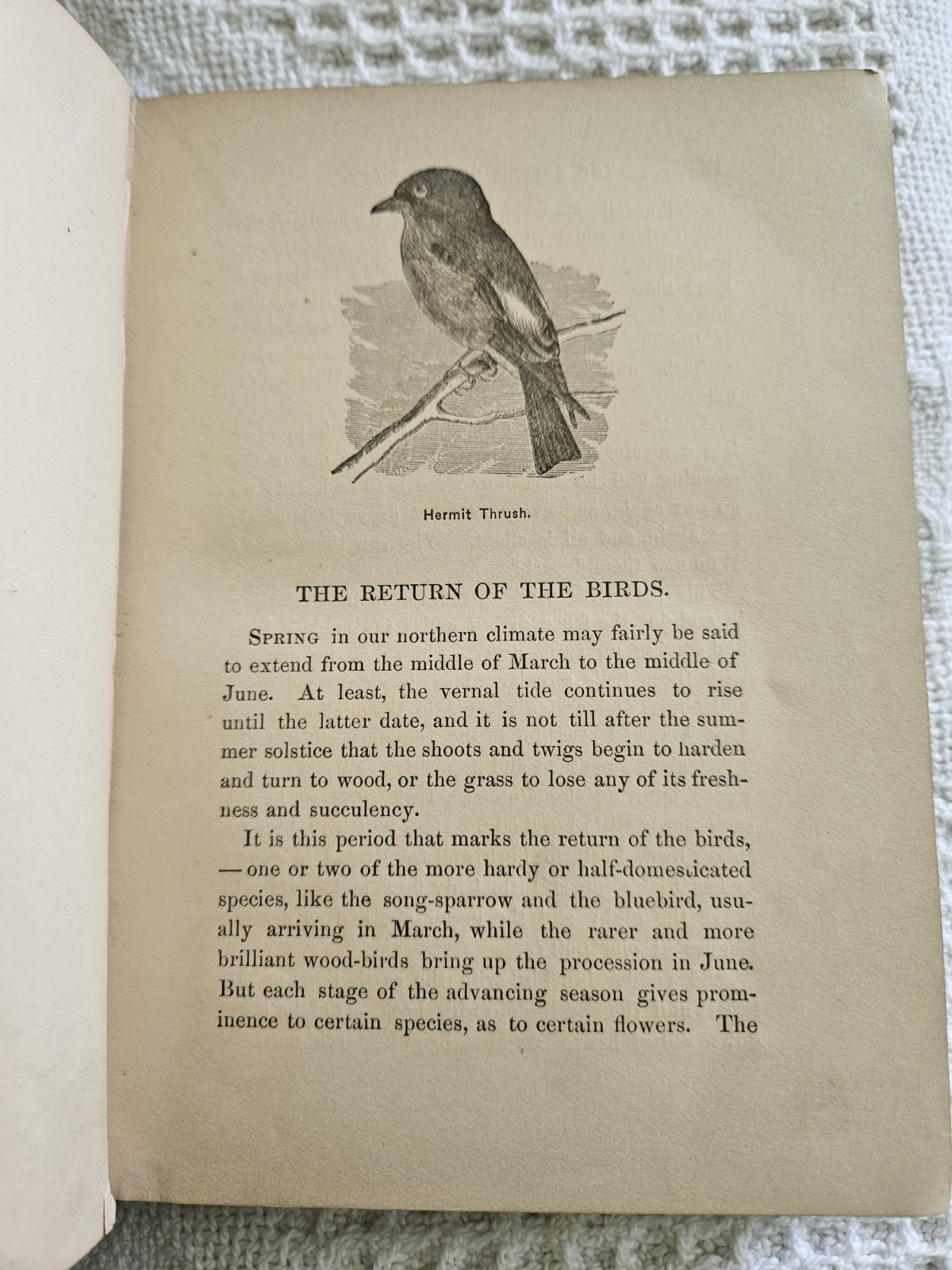 1877 SIGNED ~ WAKE ROBIN by John Burroughs 1st Essay Comp. Signed By Author RARE
