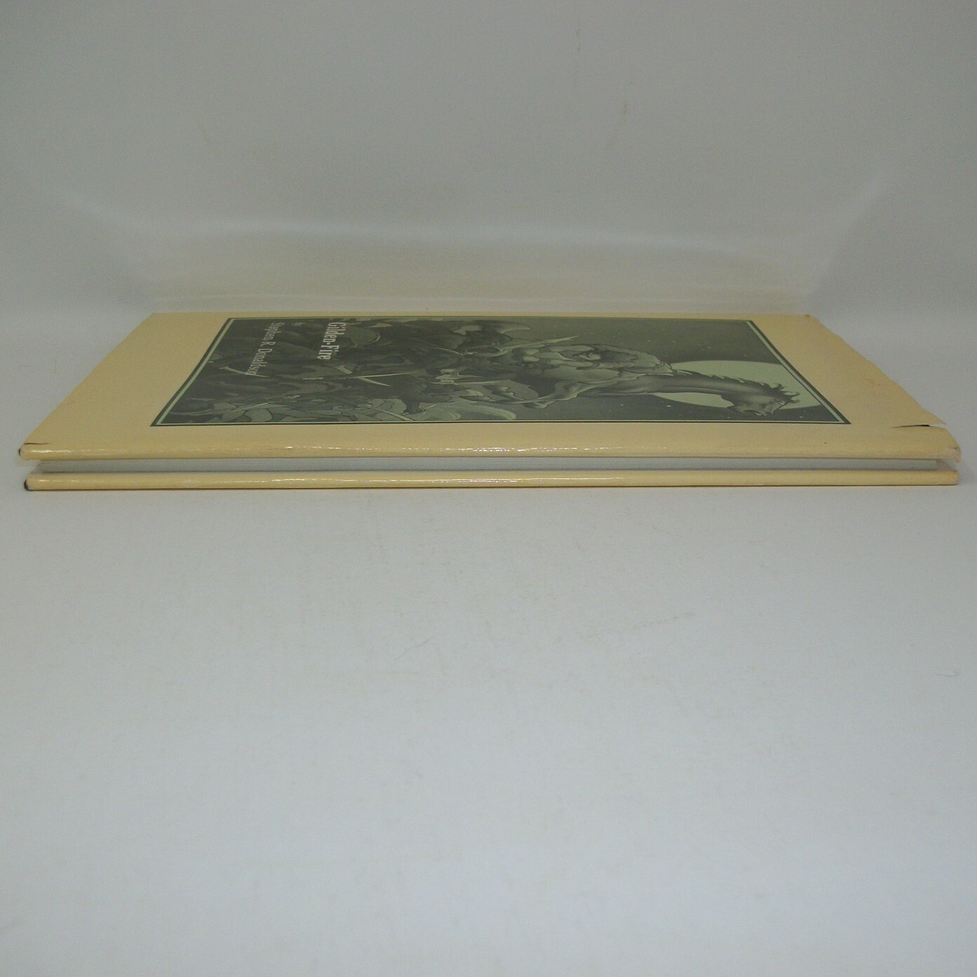 Gilden-Fire by Stephen R. Donaldson Illustrated by Stephen E. Fabian HC DJ 1981