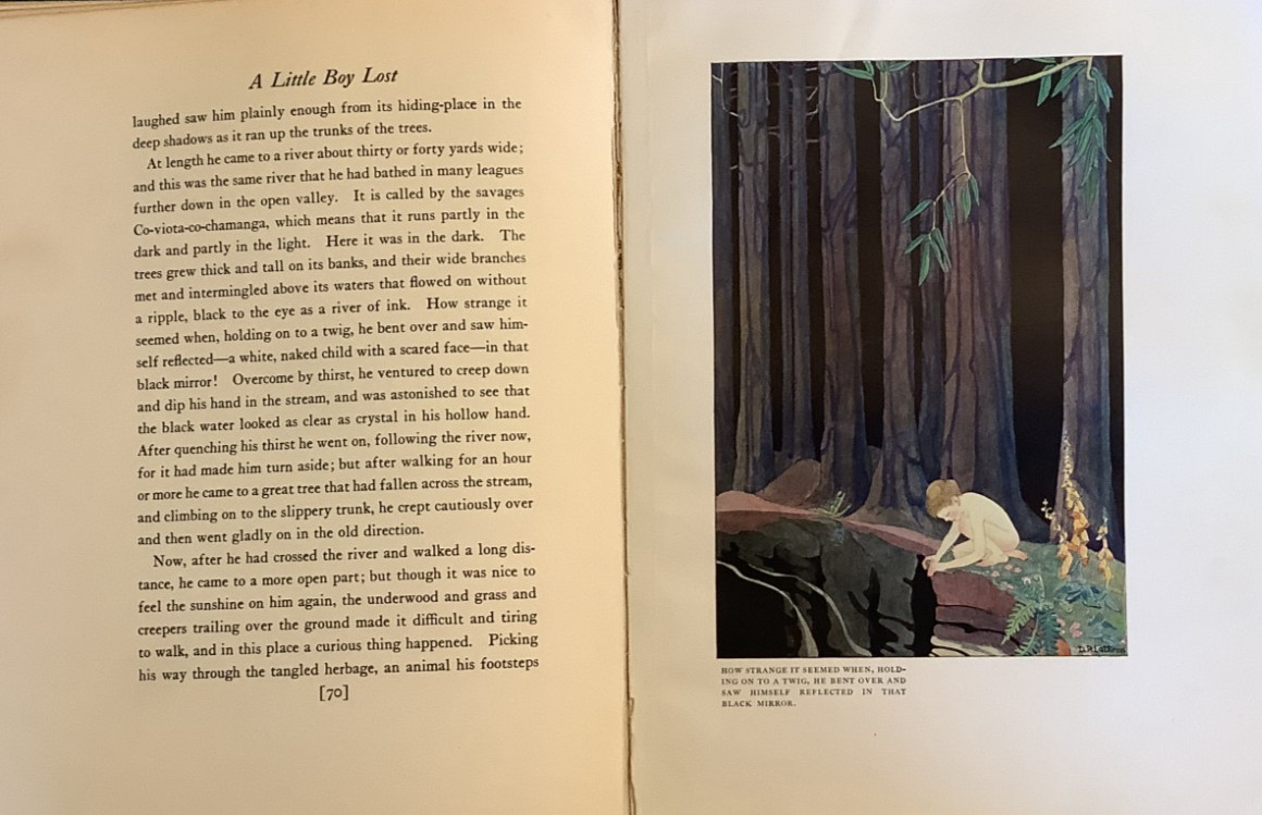 VG 1924 HC 2nd Edition Little Boy Lost W H Hudson Dorothy Lathrop