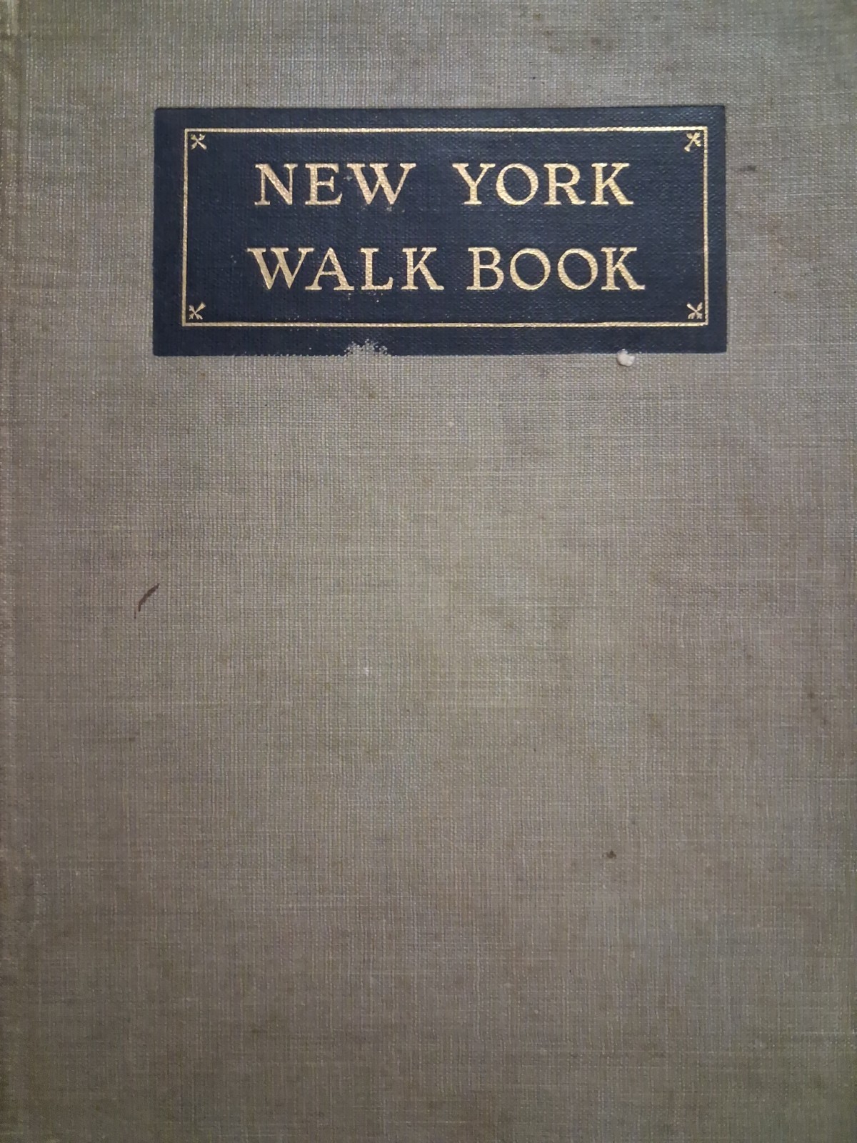 1923 NEW YORK WALK BOOK Raymond Torrey HIKING NJ NY MAPS