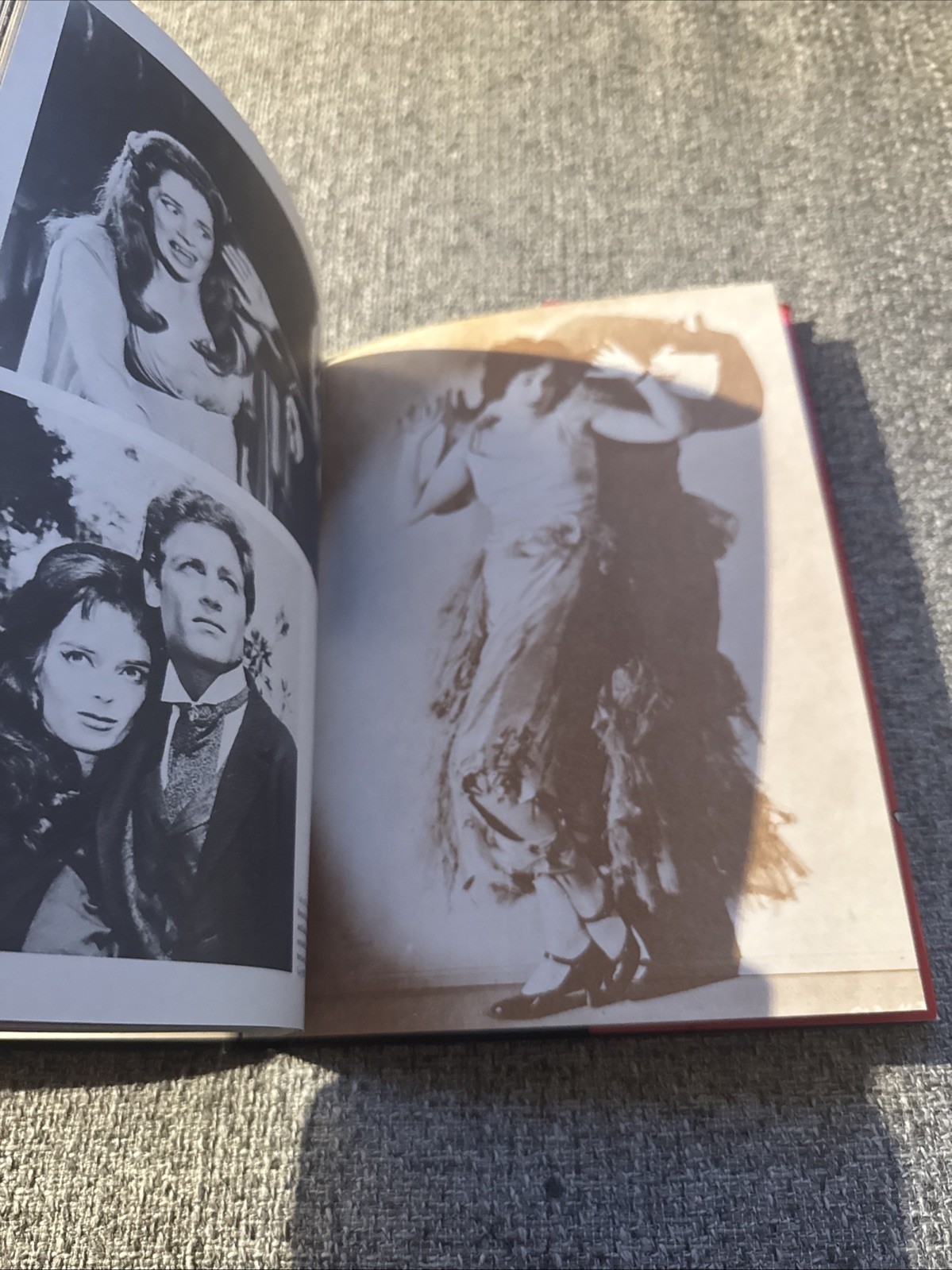 1974 Horror & Fantasy in the Movies by Tom Hutchinson Vincent Price