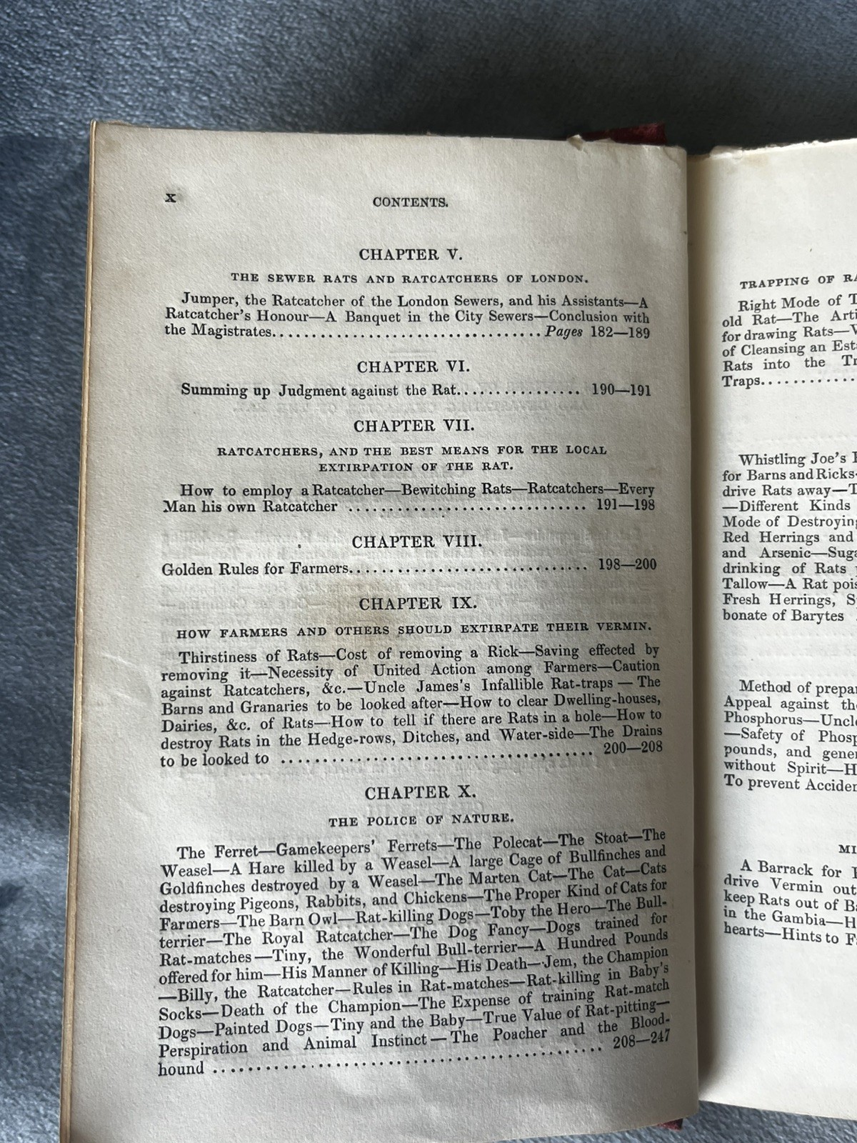 The Rat: Its History and Destructive Character. Rodwell. 1858 1st, Burn Binding