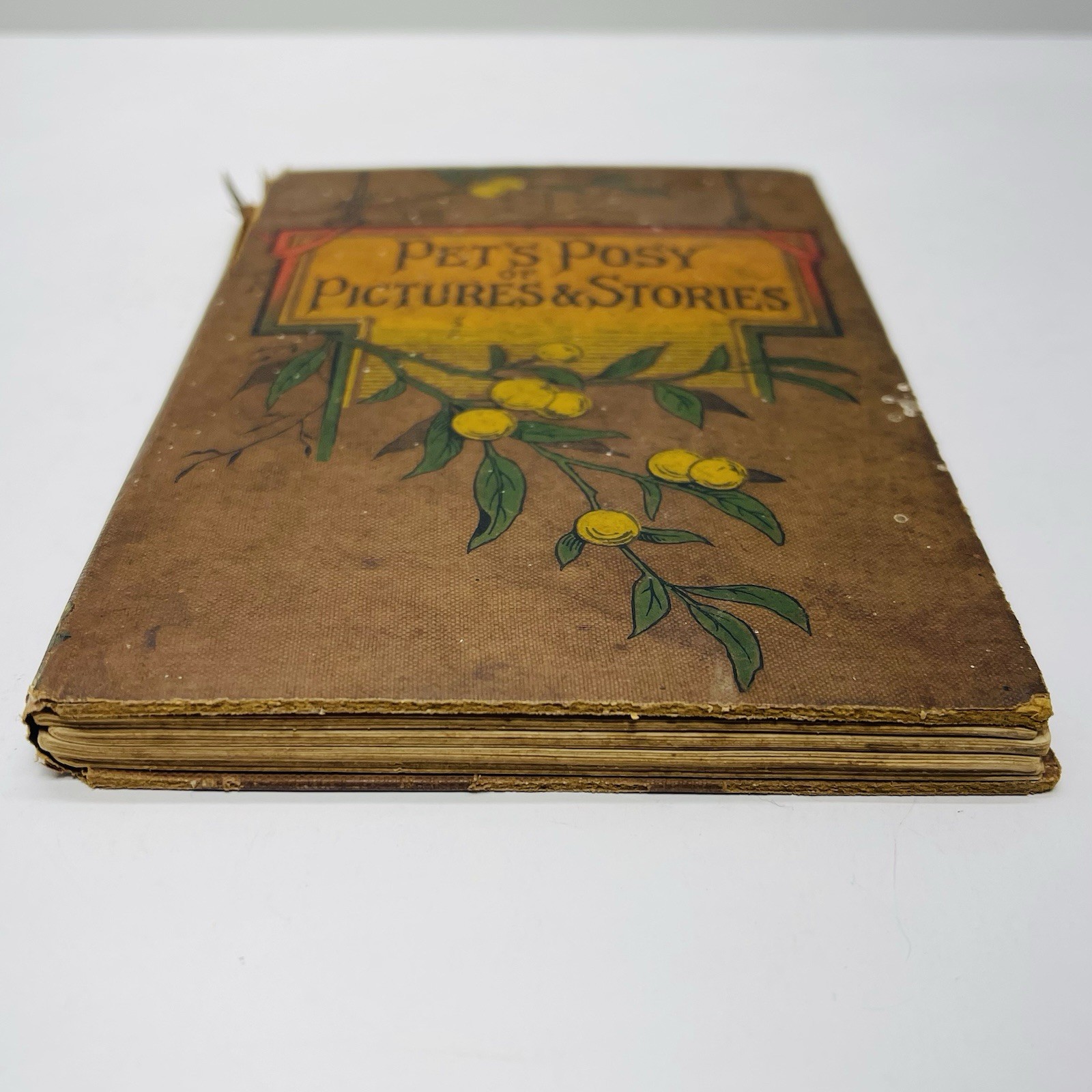 Pet’s Posy of Pictures & Stories 1800’s Antique Victorian Children’s Book HC