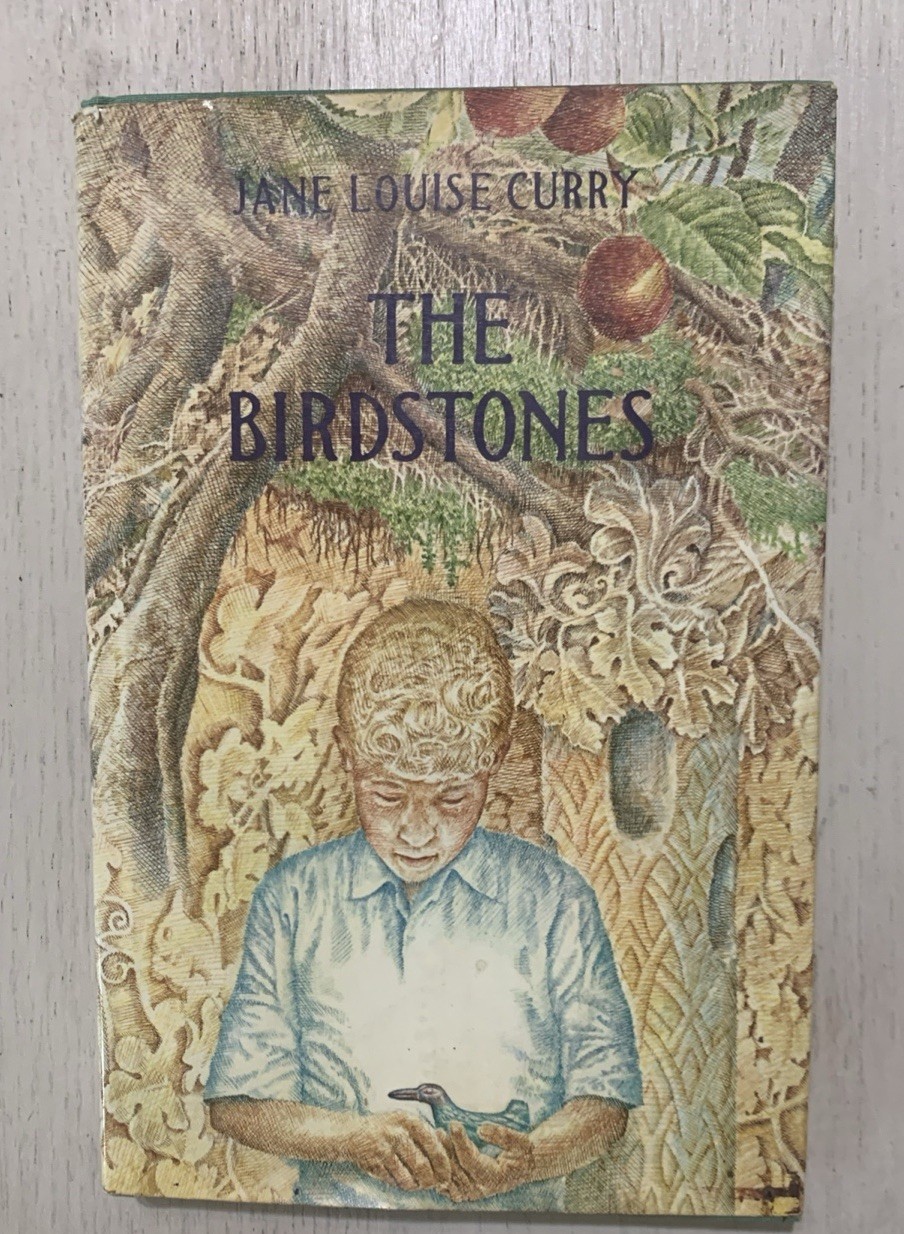 Jane Louise Curry/The Birdstones/HBDJ/First Edition/Allen Davis