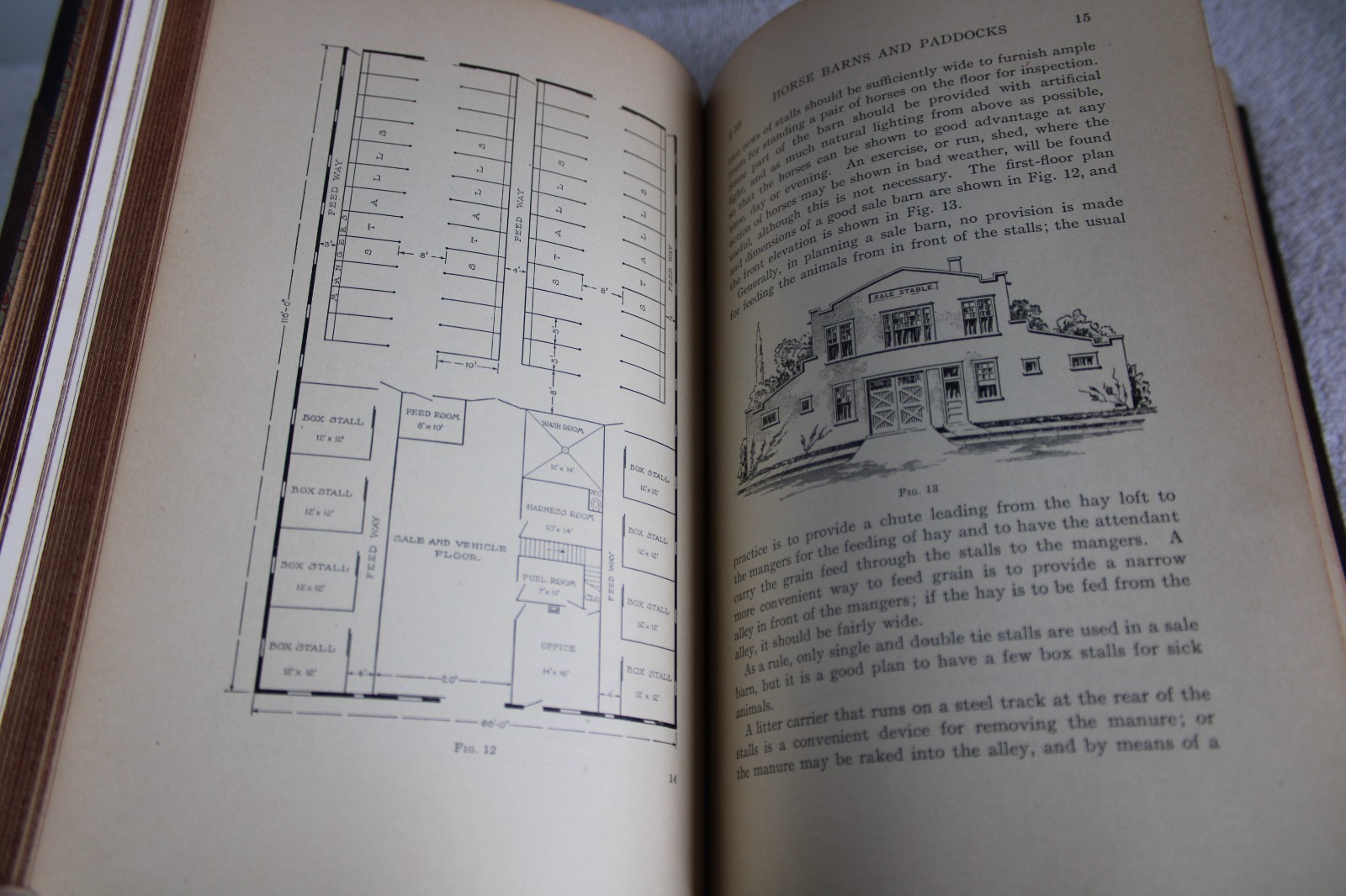 I.C.S. Reference Libray Swine, Sheep, Horses, Mules, Ponies, Asses 1912 HC illus