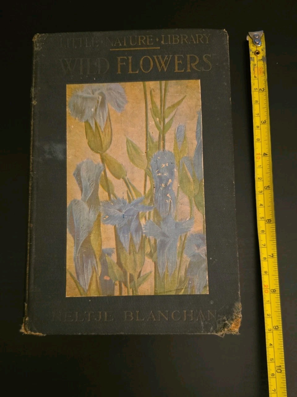 WILD FLOWERS WORTH KNOWING 1923 Blanchan Little Nature Library HC Illustrated