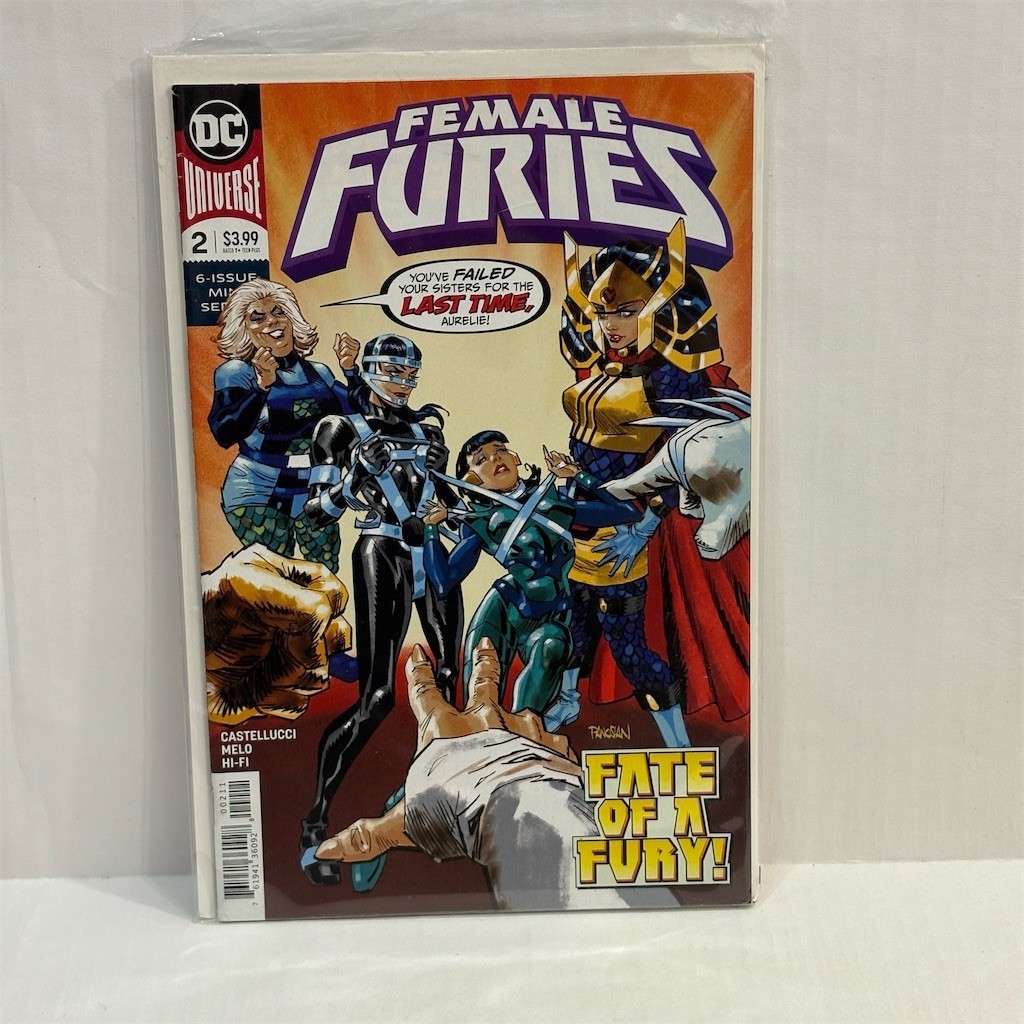 DC Comics Female Furies #2 2019 1st Print Single Issue Comic Book Cover A