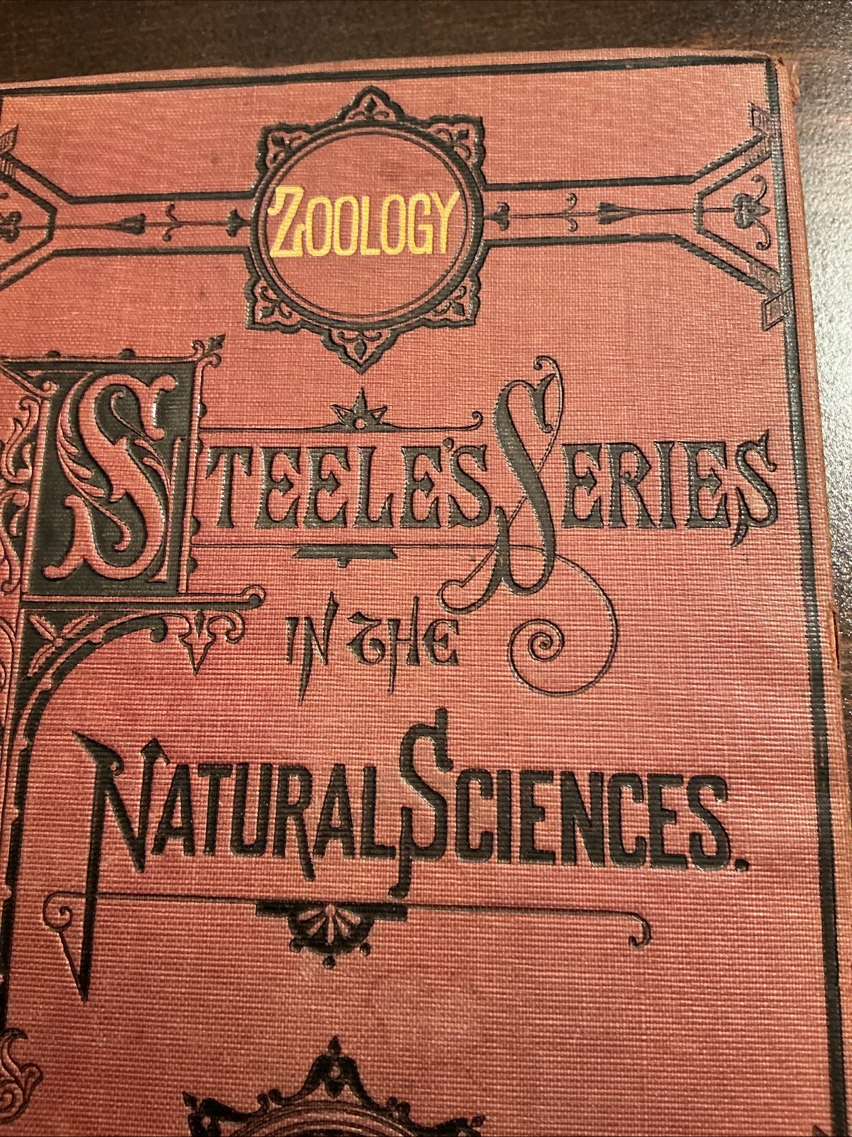 Fourteen Weeks in Zoology by J. Dorman Steele Ph.D. (1872 Hardcover)