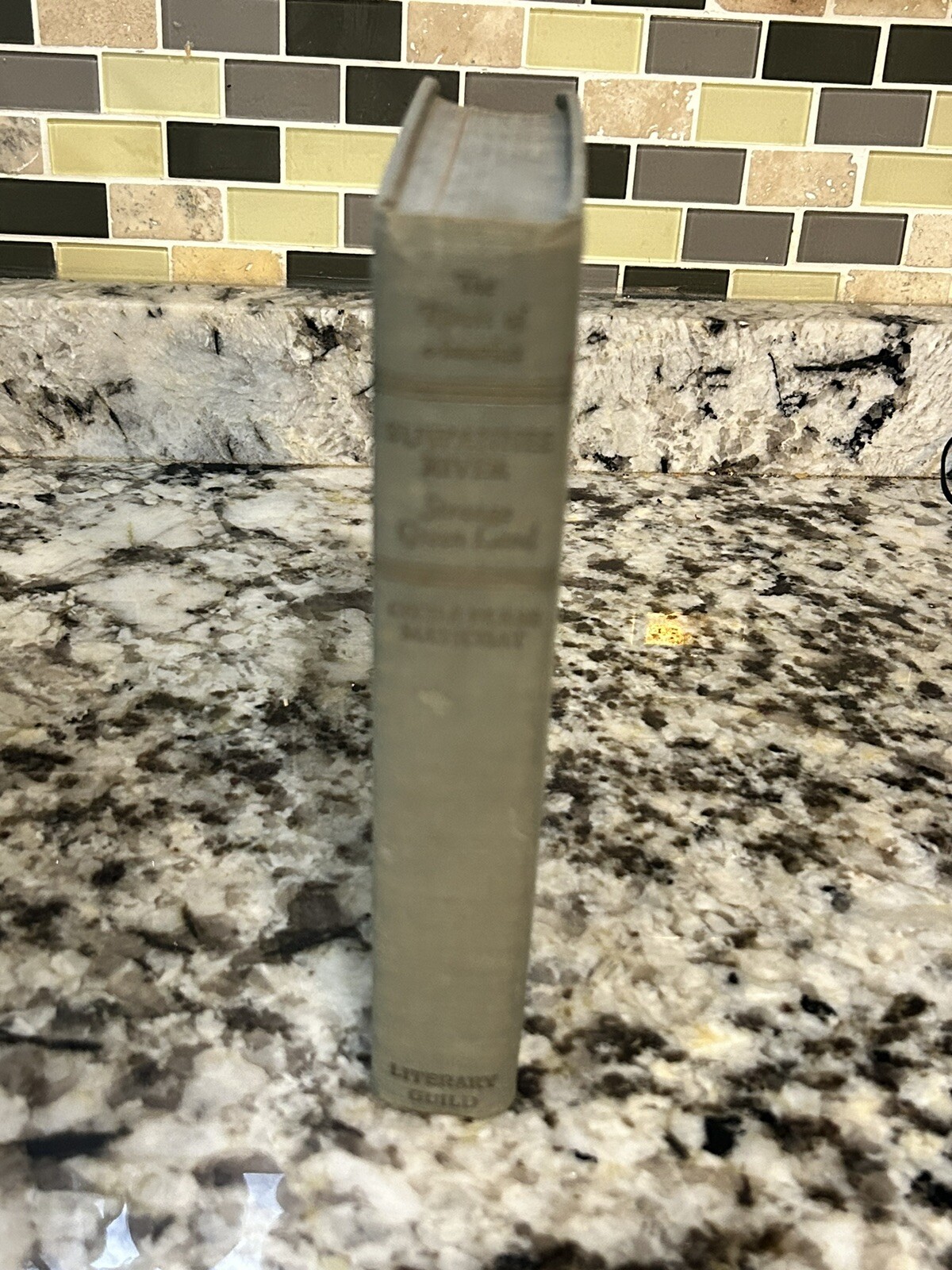 1938 Antique Geographic History Book „Suwannee River: Strange Green Land“ Illus.