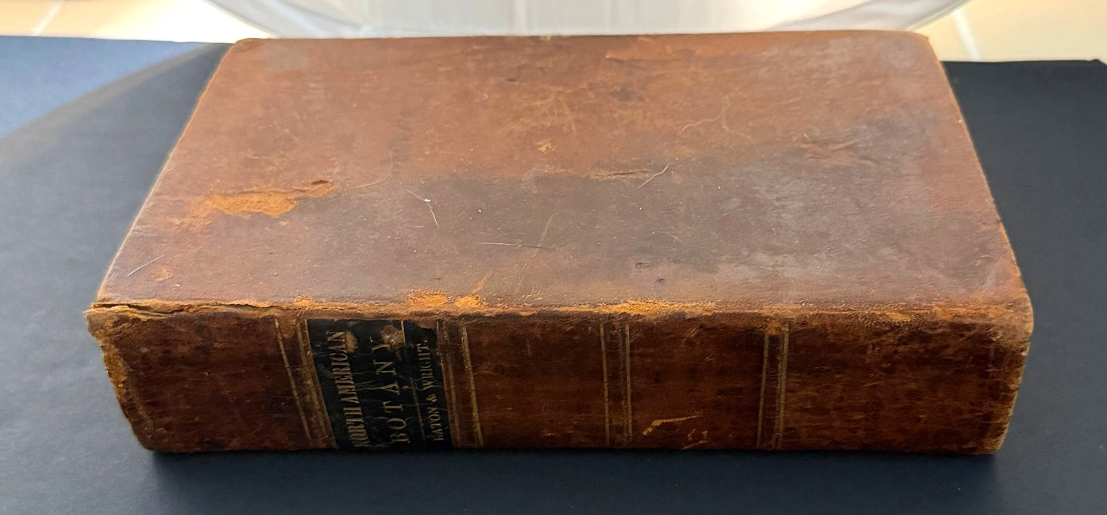 1840 North American Botany Eaton & Wright Full leather bound antique book