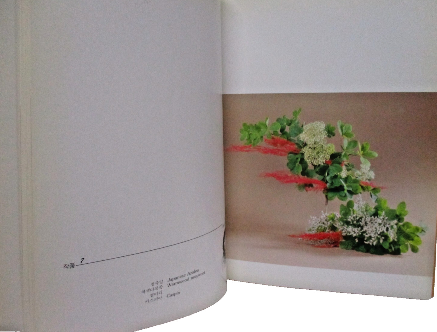 Kotsool Flower Arrangement Collection Of Works by Koo Ja-Sook Japanese English