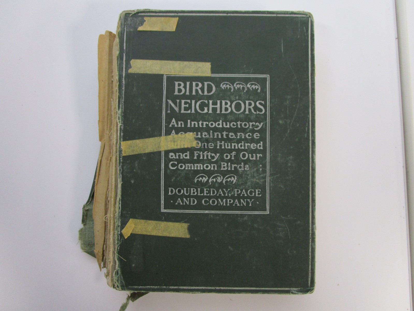 Antique 1903 BIRD NEIGHBORS by NELTJE BLANCHAN- NICE PLATES acceptable HC