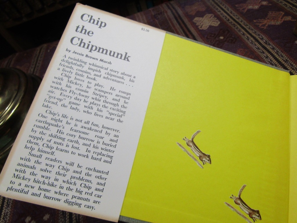 1962 Marsh CHIP THE CHIPMUNK Rare SIGNED 1st Ed. HC/DJ Illustrated Bethany Tudor