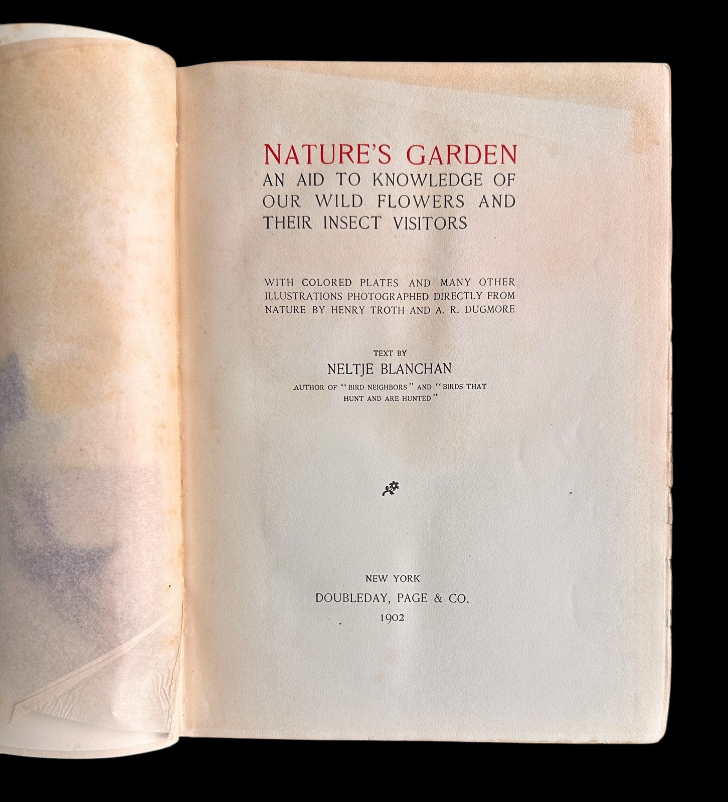 Nature’s Garden by Neltje Blanchan 1902 Doubleday Page