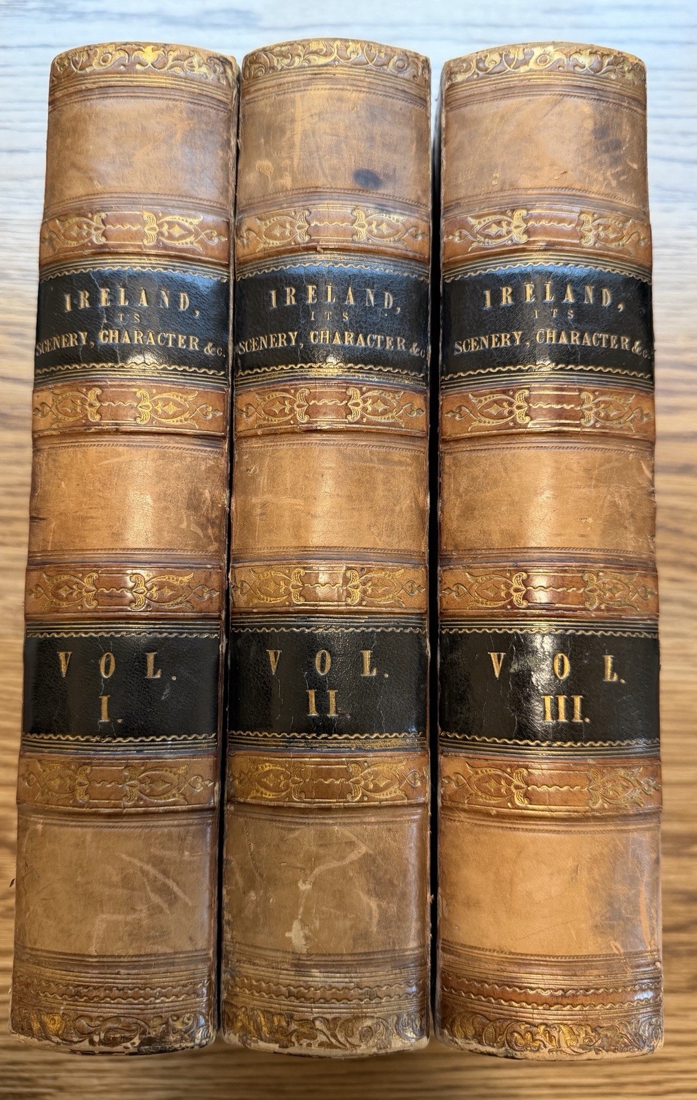 Mr. & Mrs. S. C. Hall Ireland History Leather Illustrated Book Set English