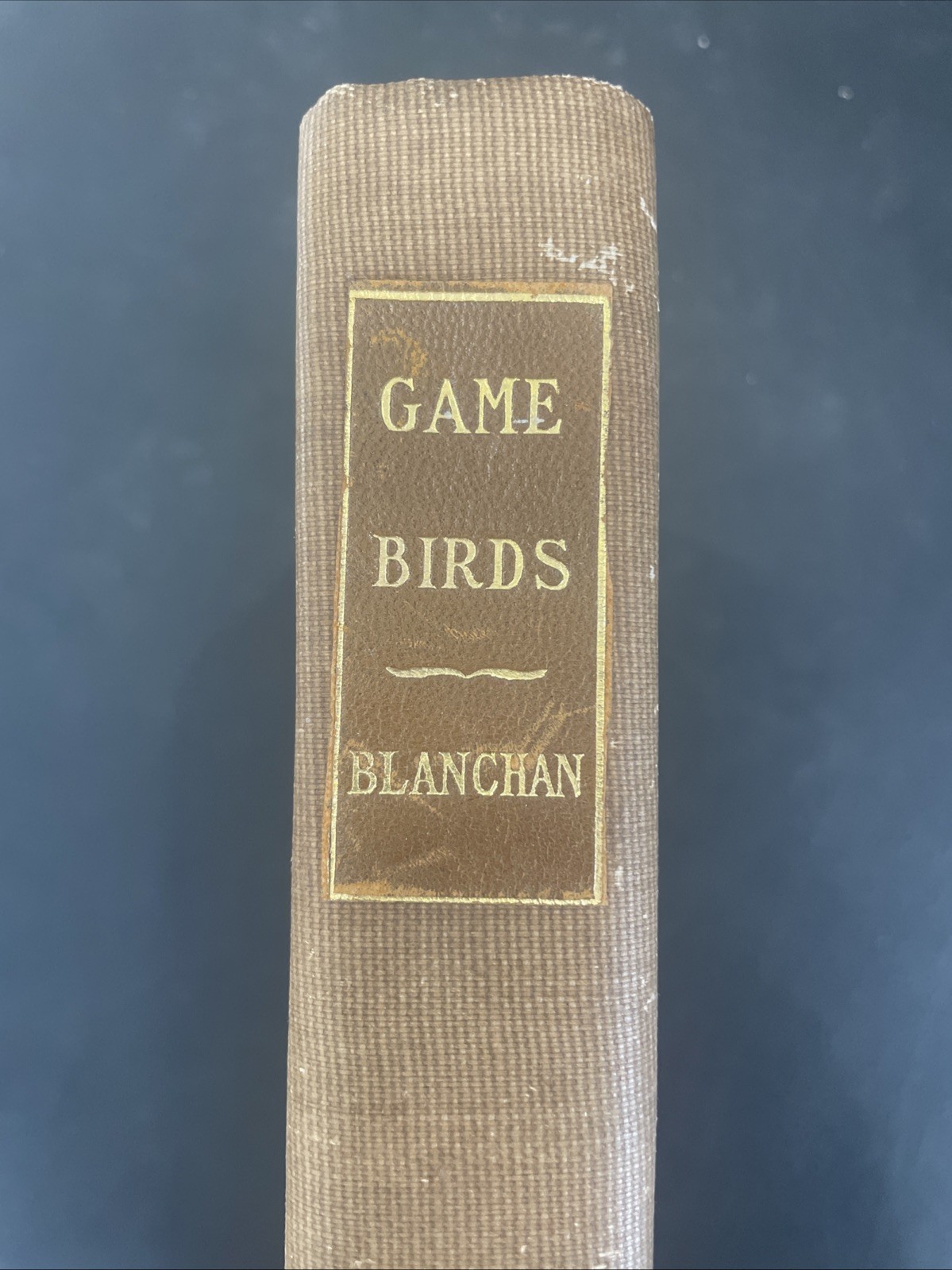 Antique Book Birds That Hunt And Are Hunted 48 Color Plates 1902 By Blanchan