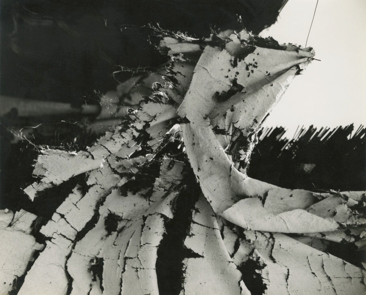 Walter Chappell / UNTITLED GELATIN SILVER PRINT Signed