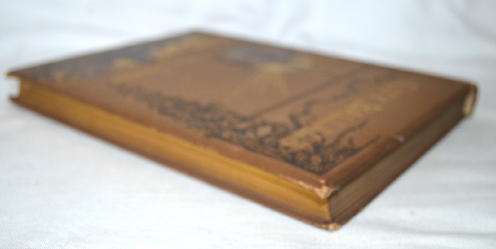 City Ballads – Will Carleton – 1885 Harper & Brothers – Decorative Cover – Gilt