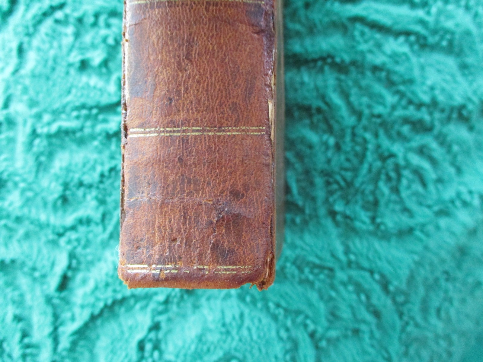 View of Expected Christian Millennium – Josiah Priest – 1831 Leather 10