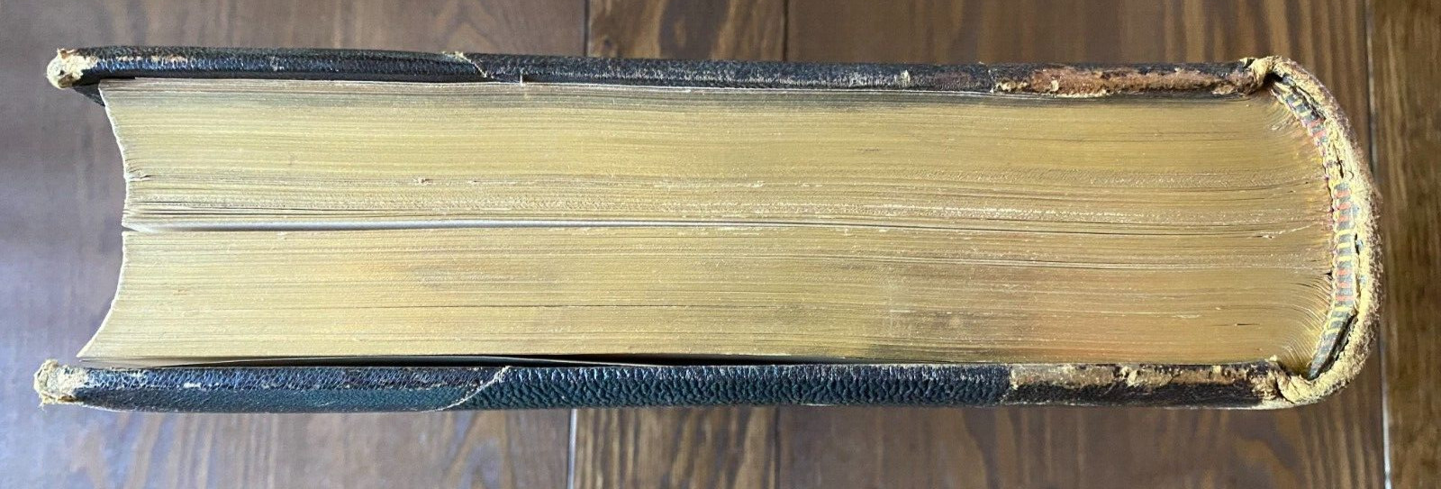 Voyages and Travels 1893 Vol. 1 S. Walker & Co. Illustrated Heavy Leather Cover