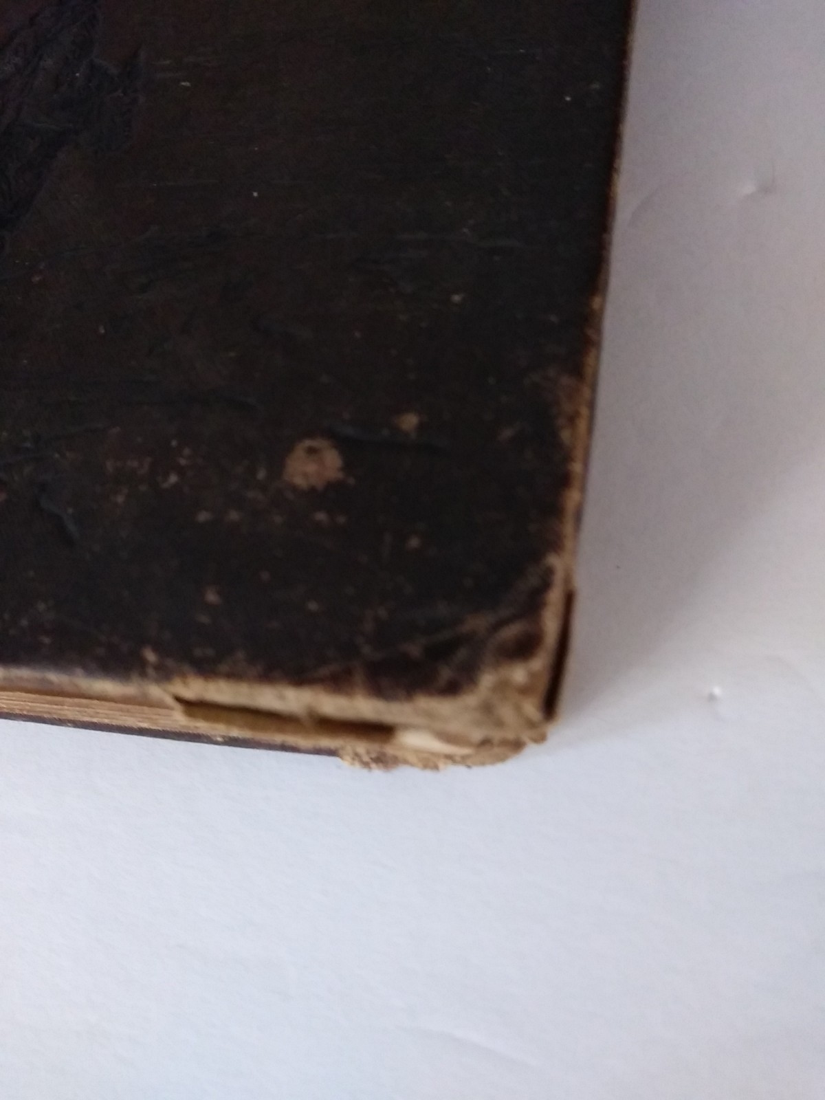 The Dore Bible Gallery 100 Illustrations John W Lovell NY NY Hardcover 1883-1890