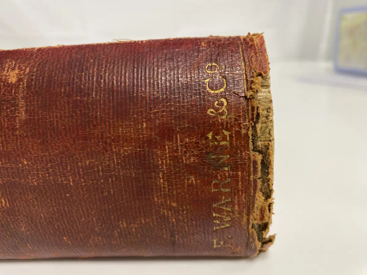 First Edition 1875 Loudon’s Trees Shrubs Great Britain Illustrated book #58991